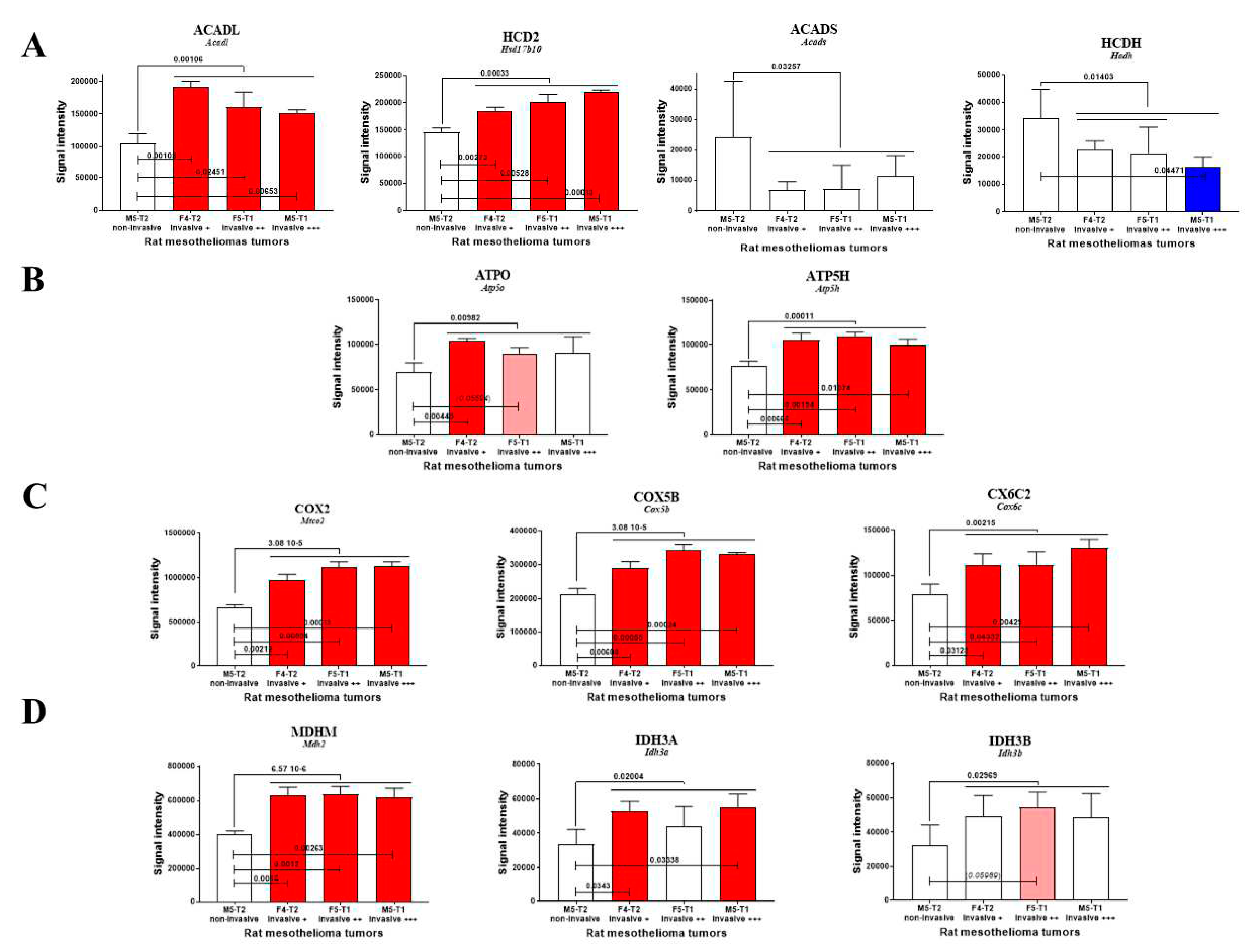 Preprints 73537 g002