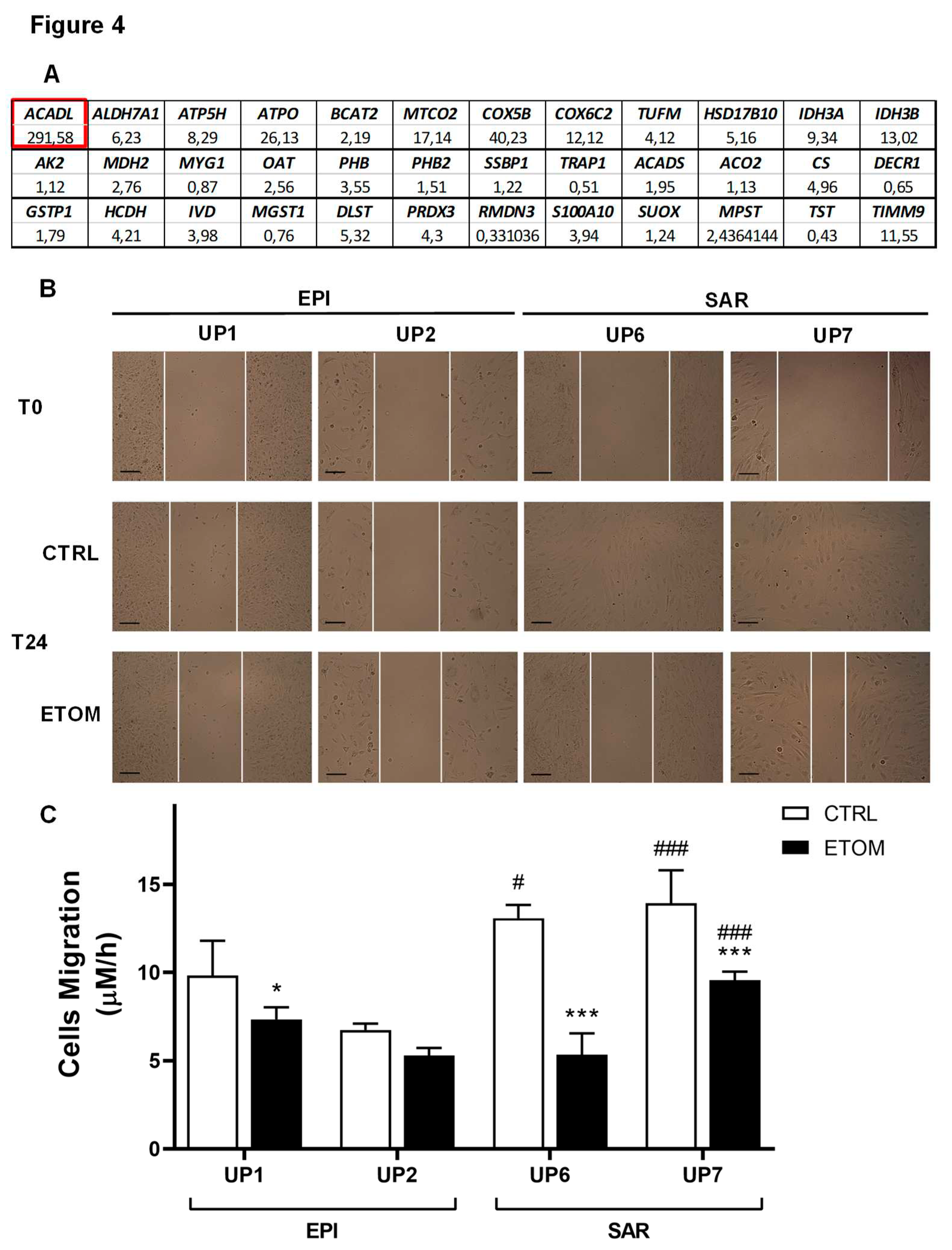 Preprints 73537 g004