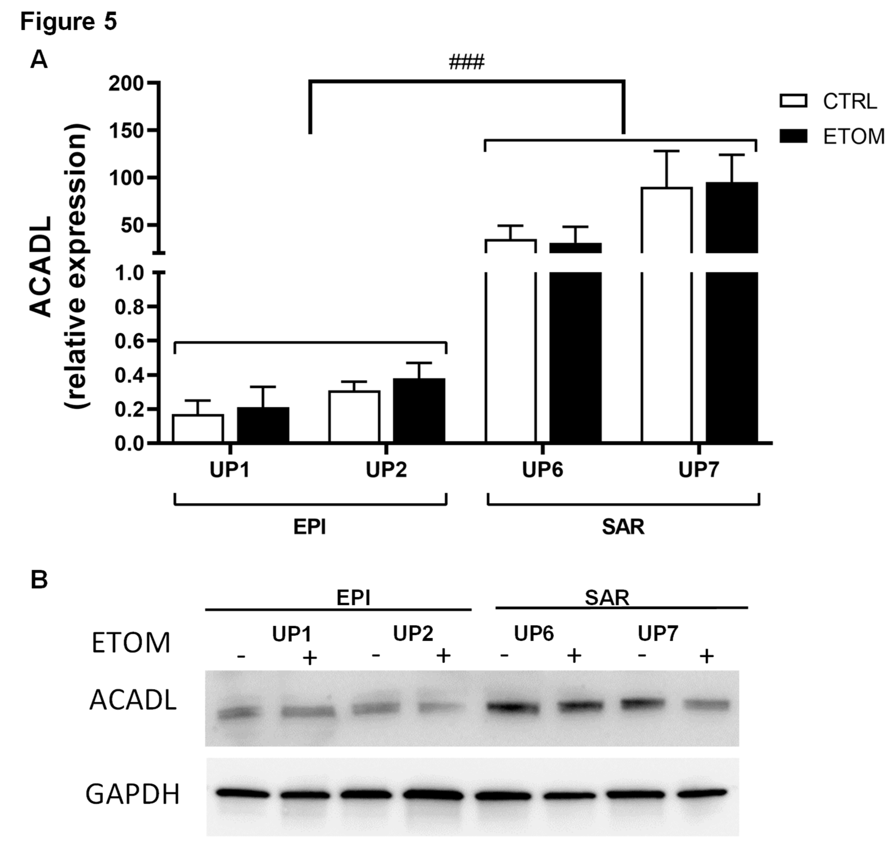 Preprints 73537 g005
