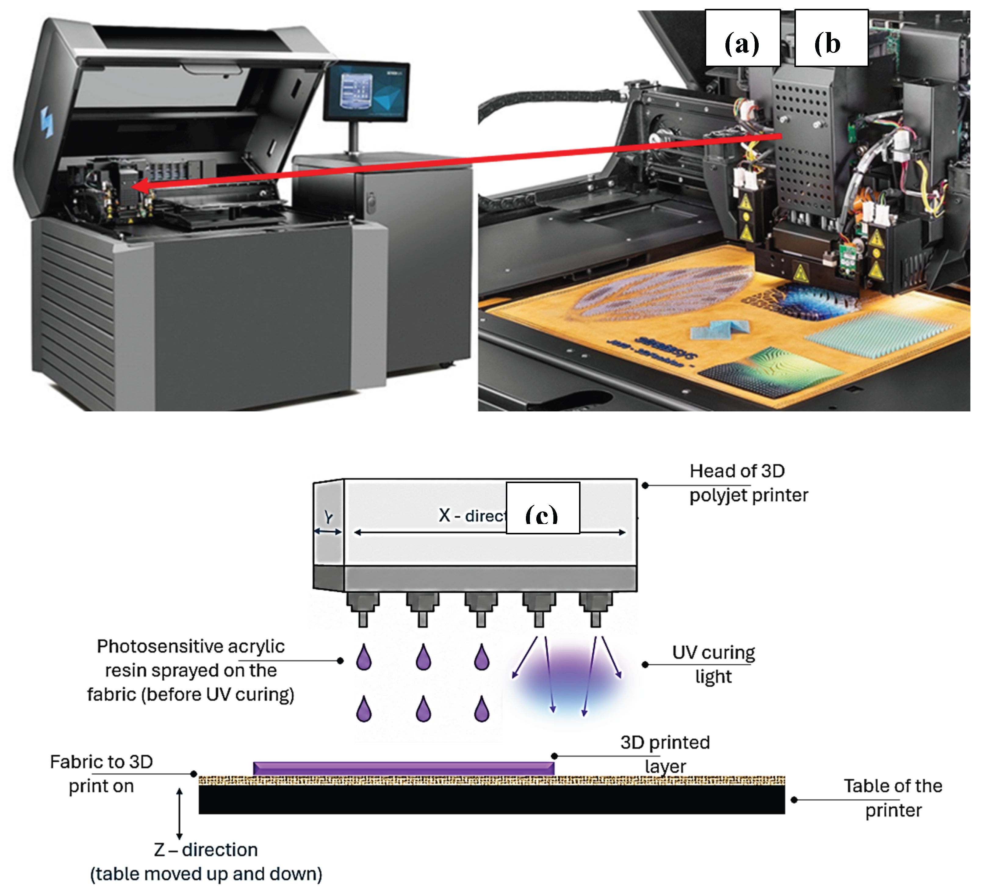 Preprints 228276 g001