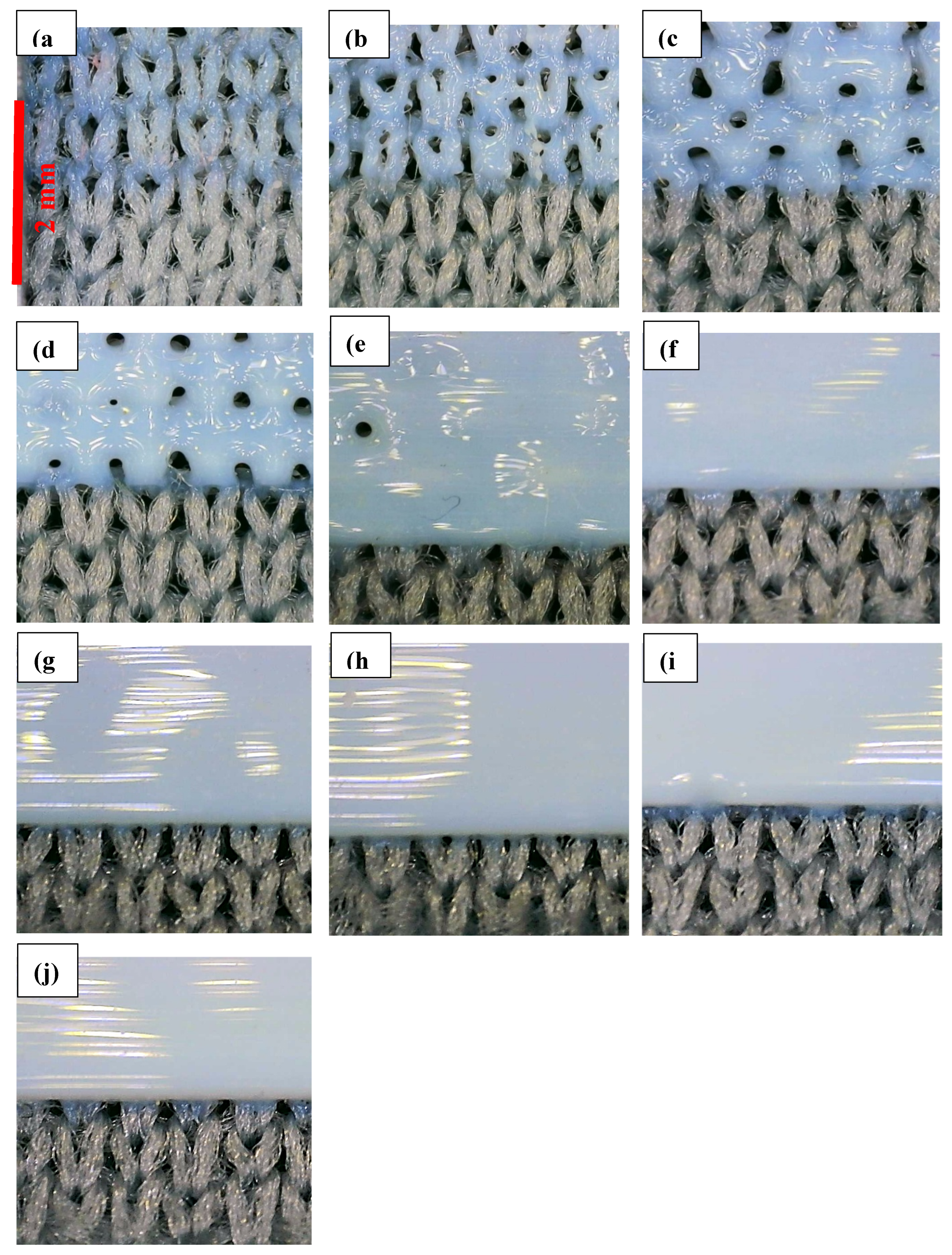 Preprints 228276 g003