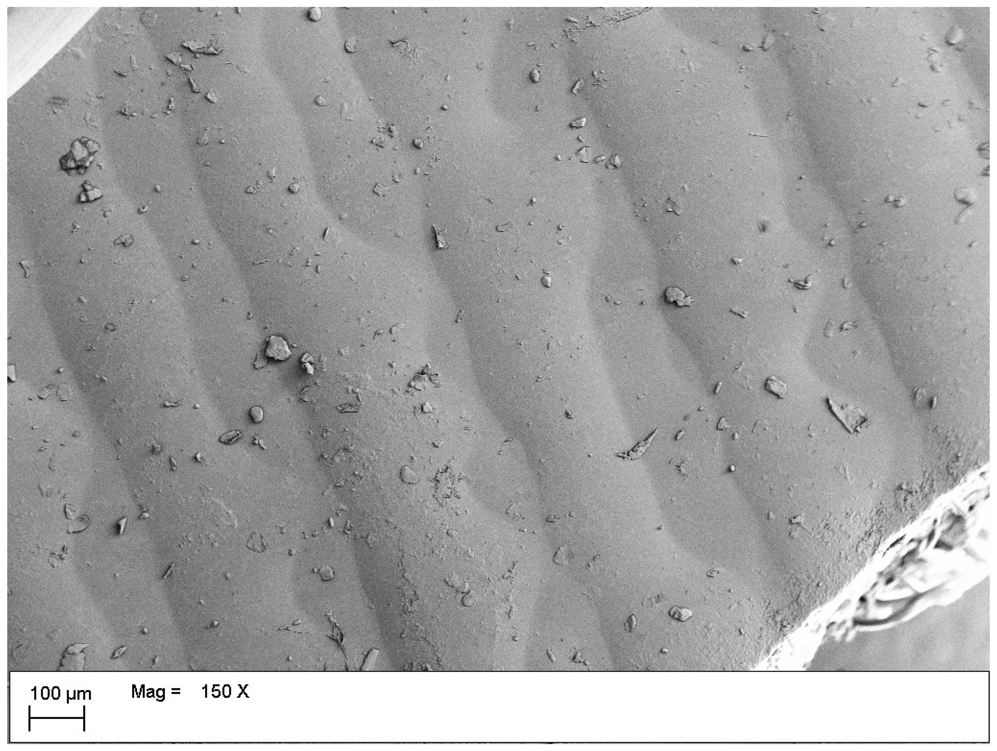 Preprints 228276 g006