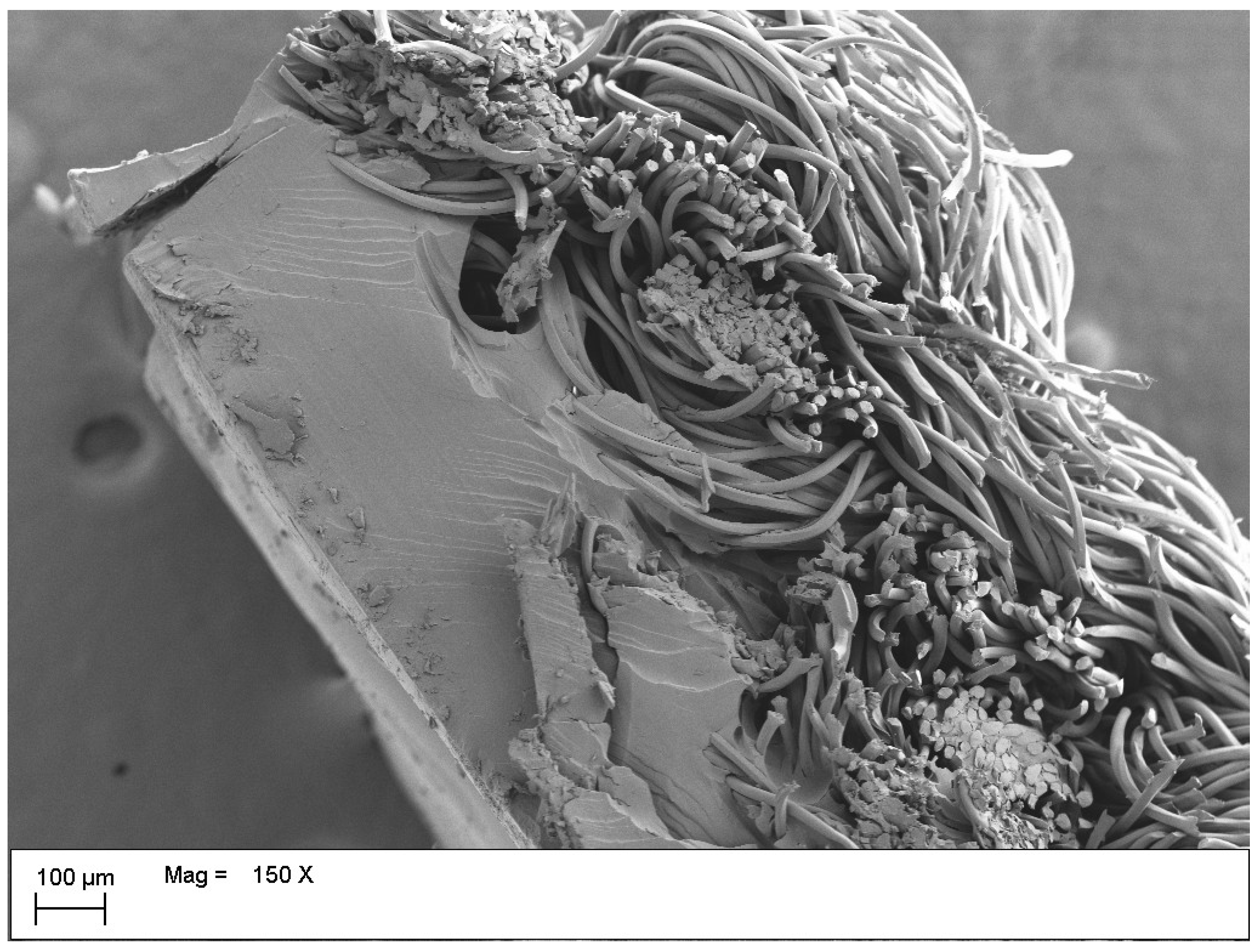 Preprints 228276 g007