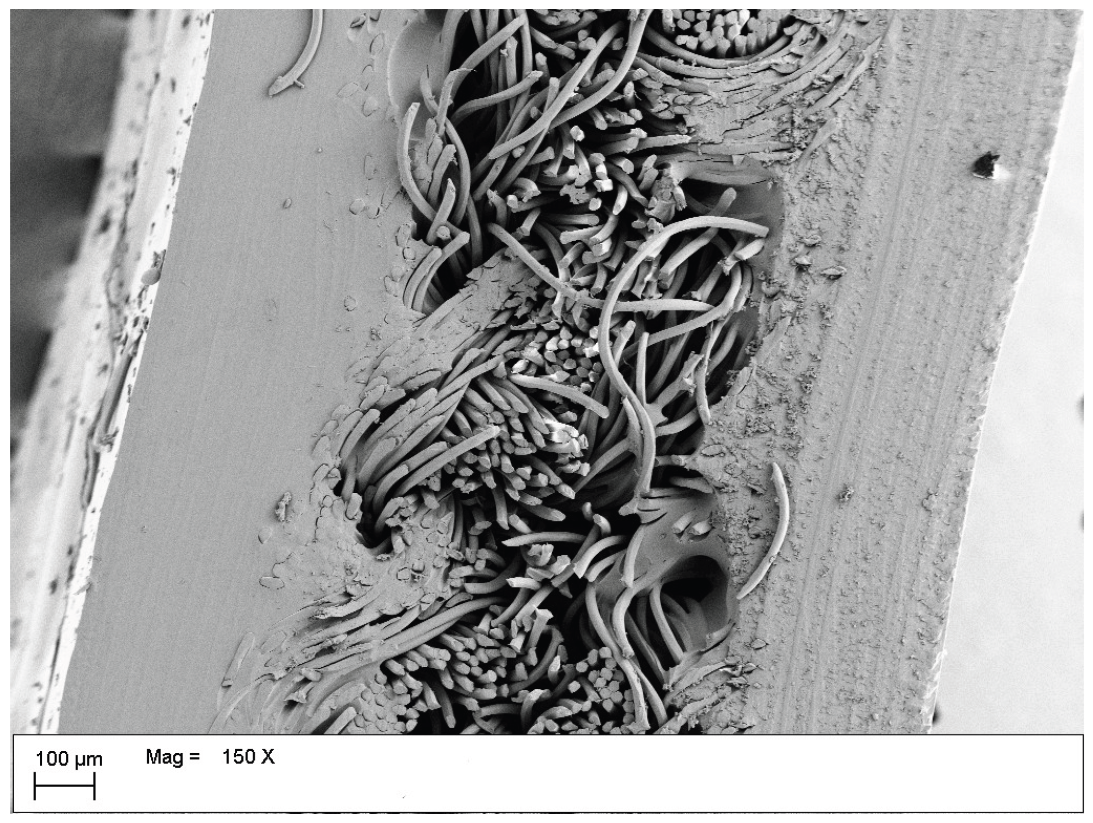 Preprints 228276 g008
