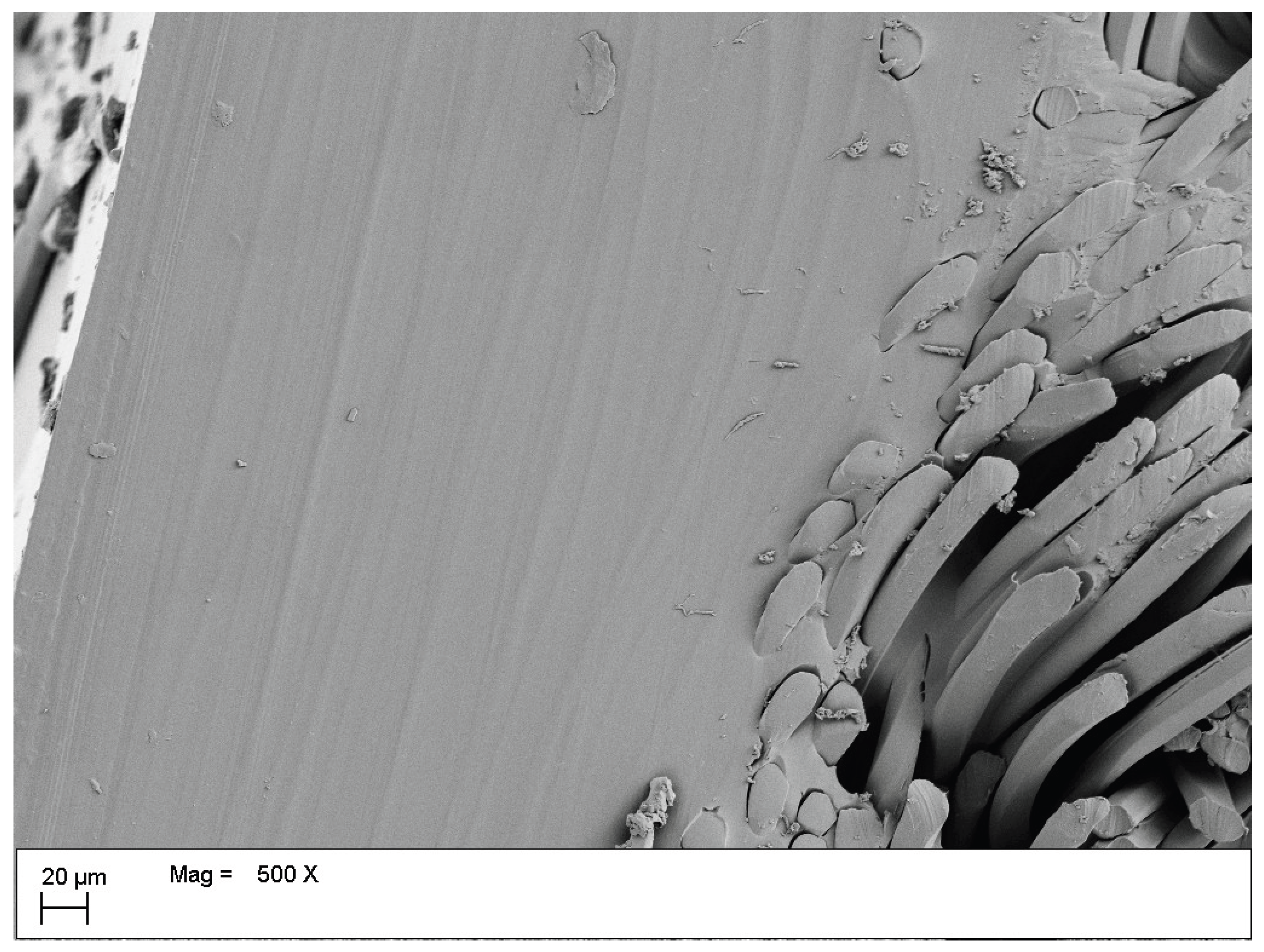 Preprints 228276 g009