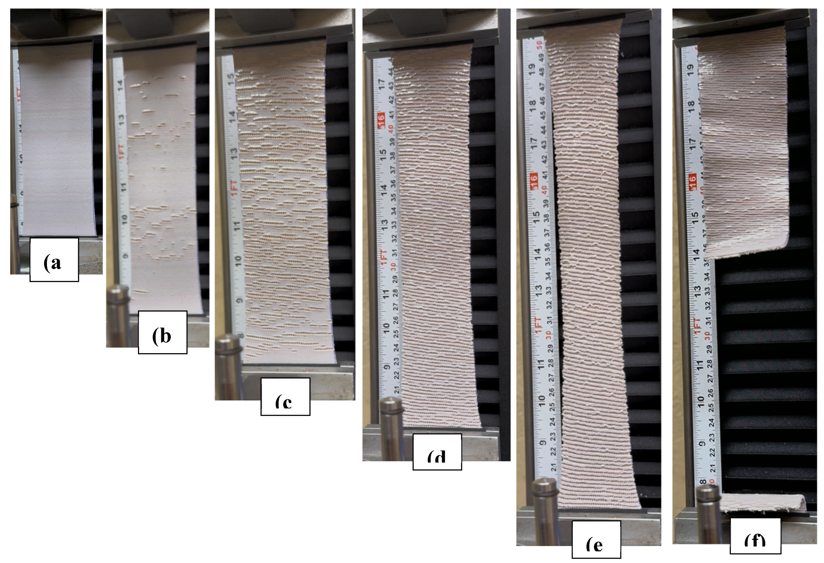 Preprints 228276 g022