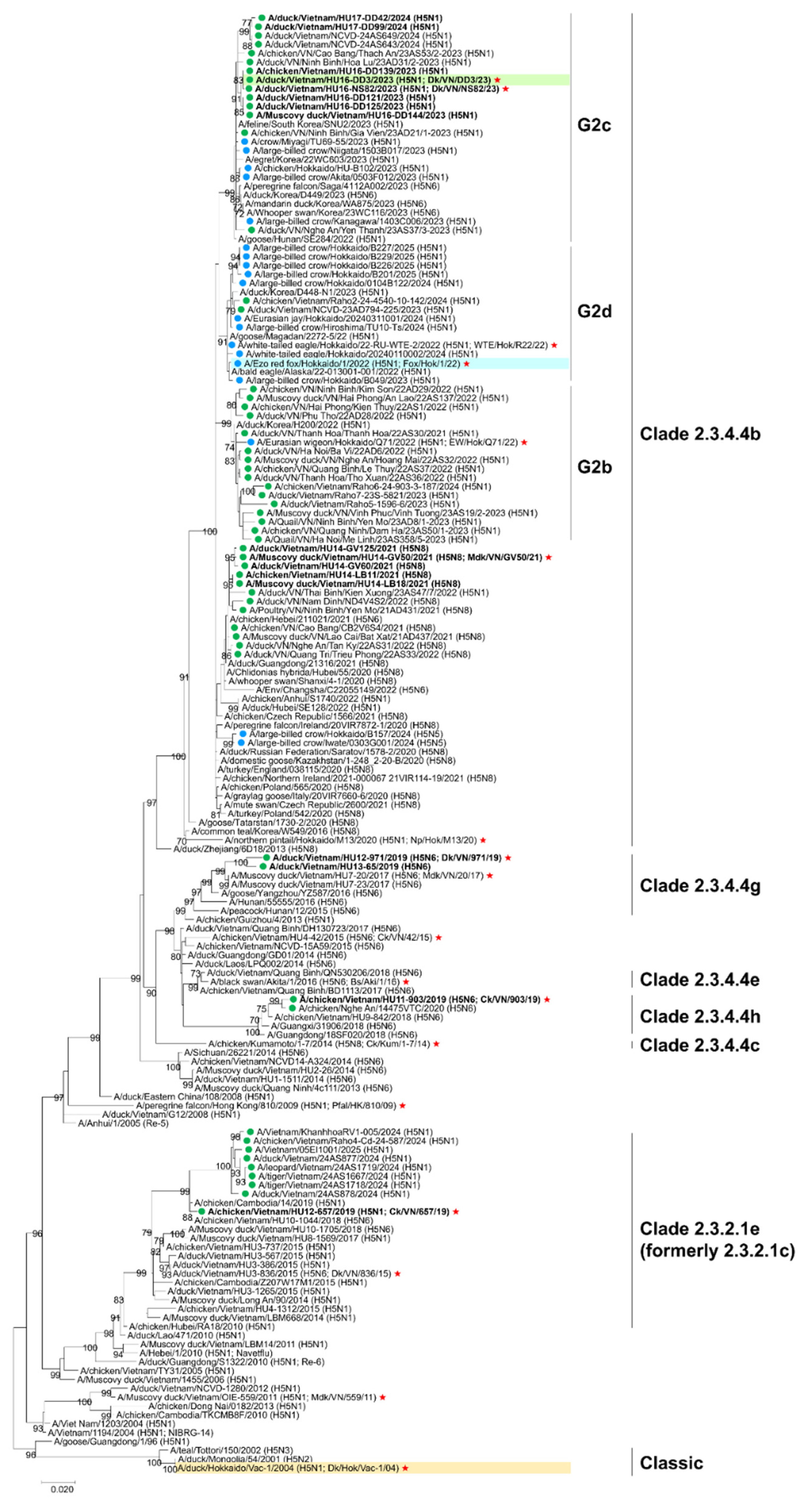 Preprints 190188 g001