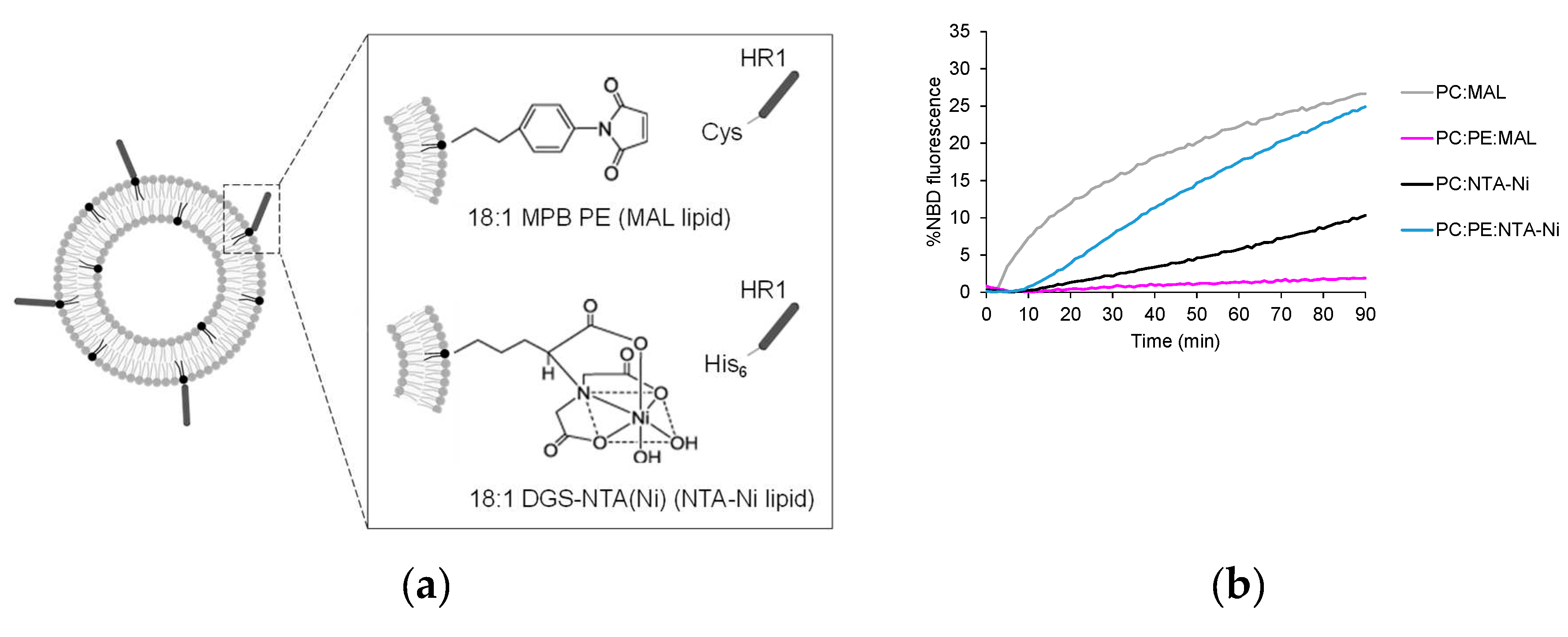 Preprints 80711 g001a