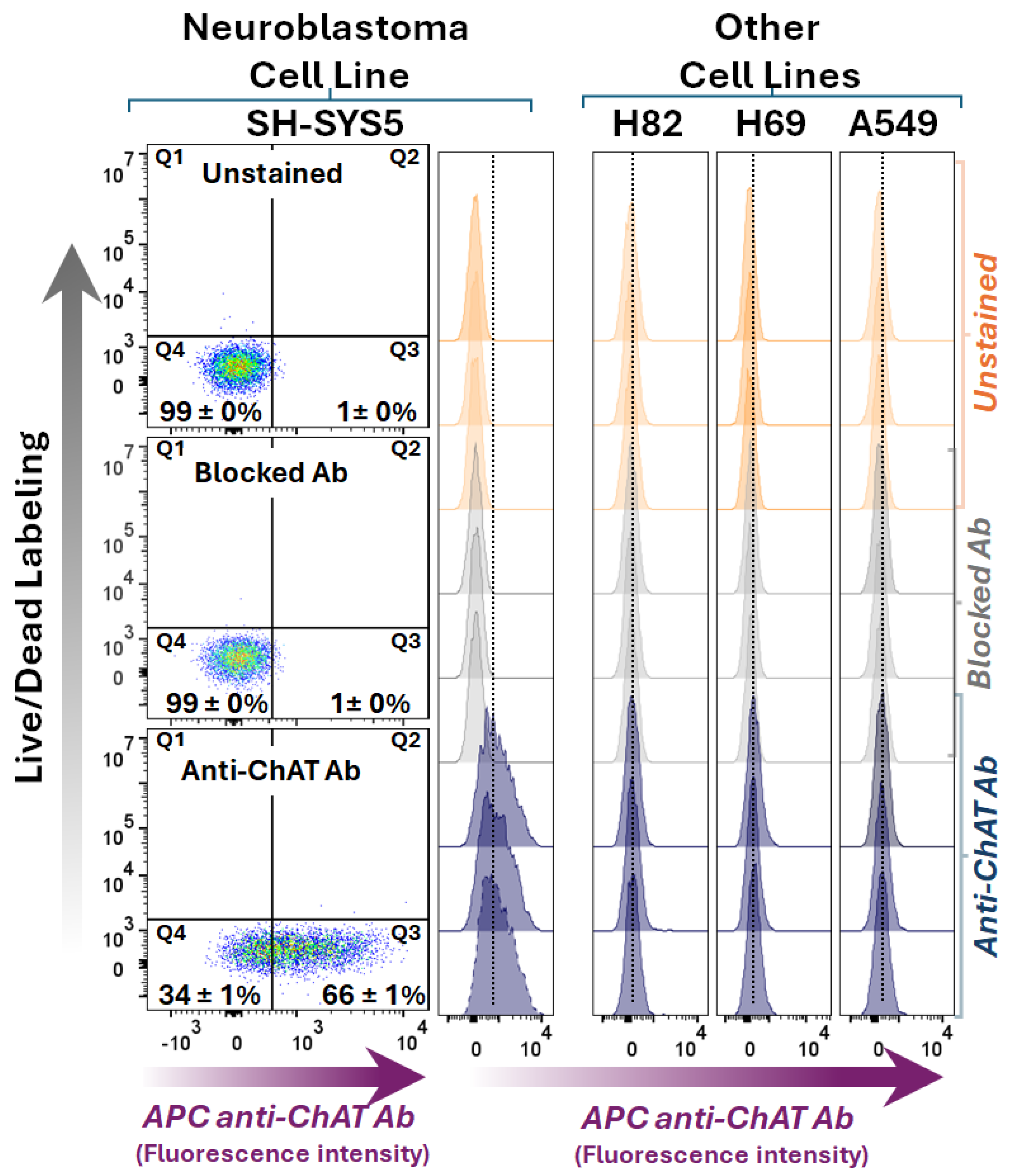 Preprints 161417 g001