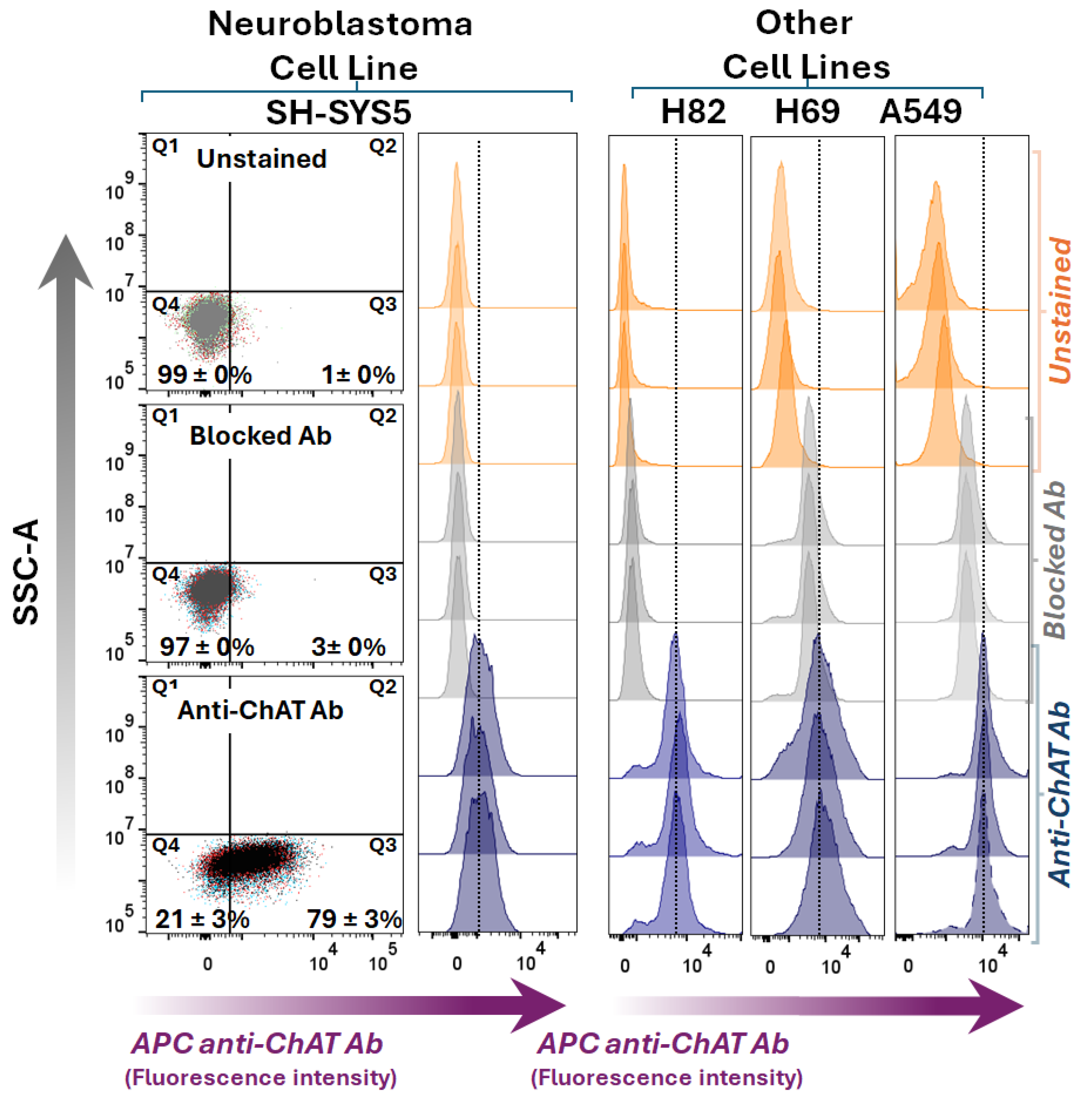 Preprints 161417 g002