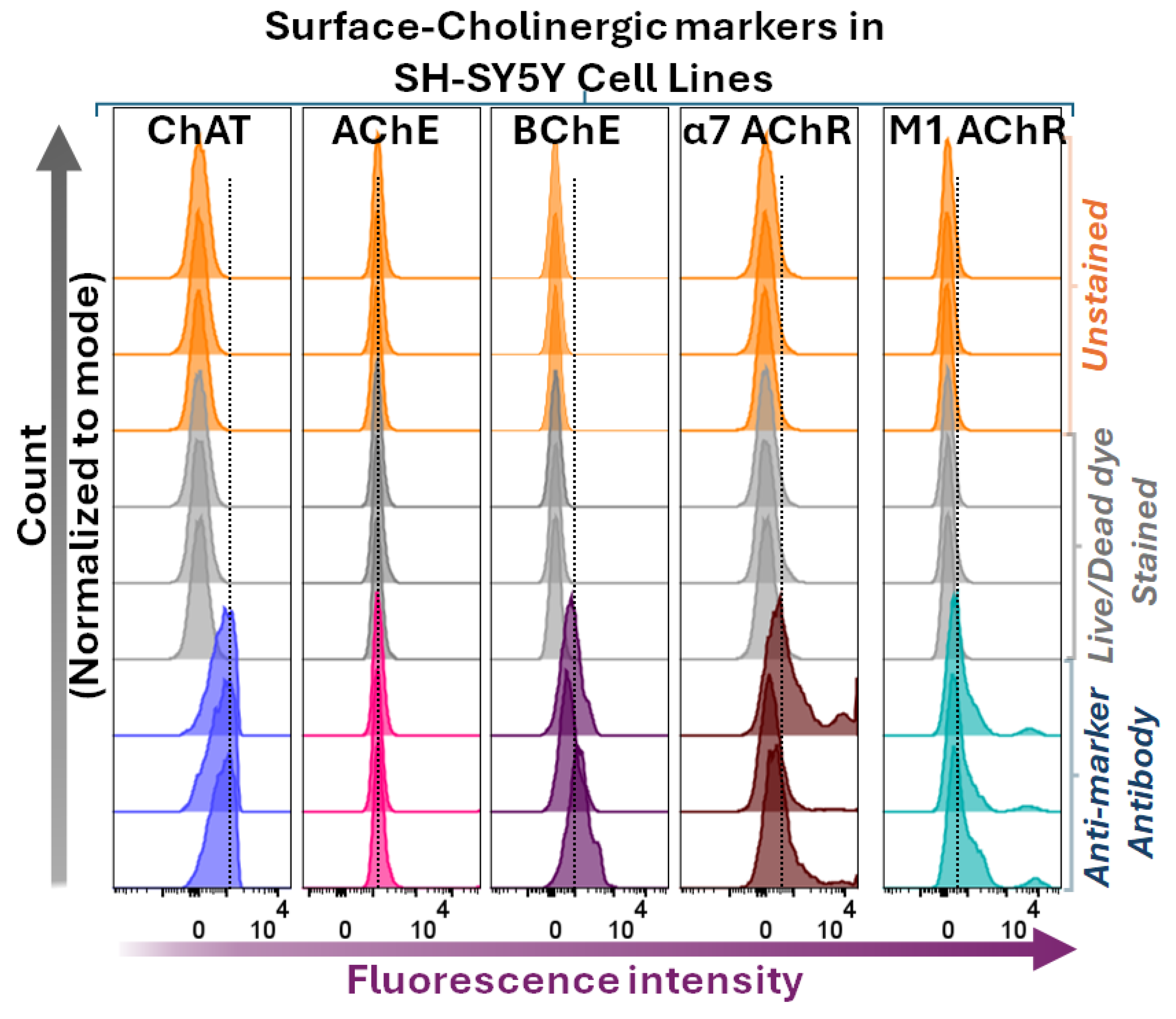 Preprints 161417 g004