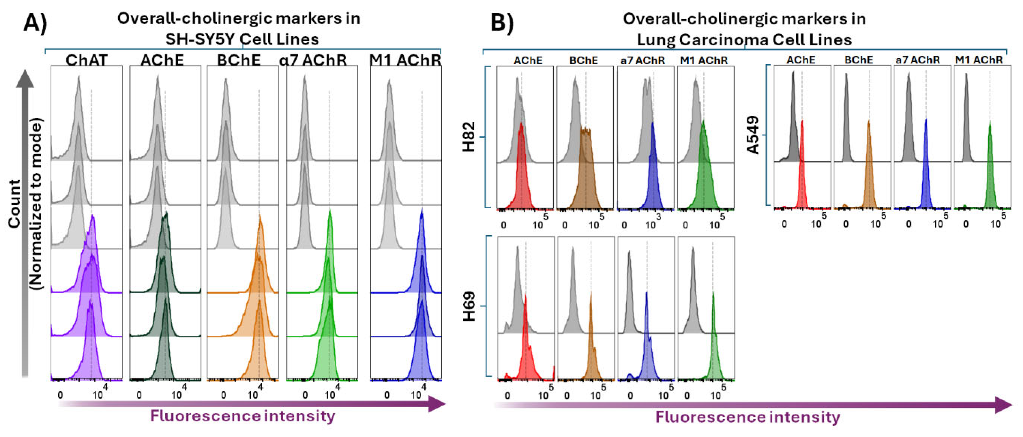 Preprints 161417 g005