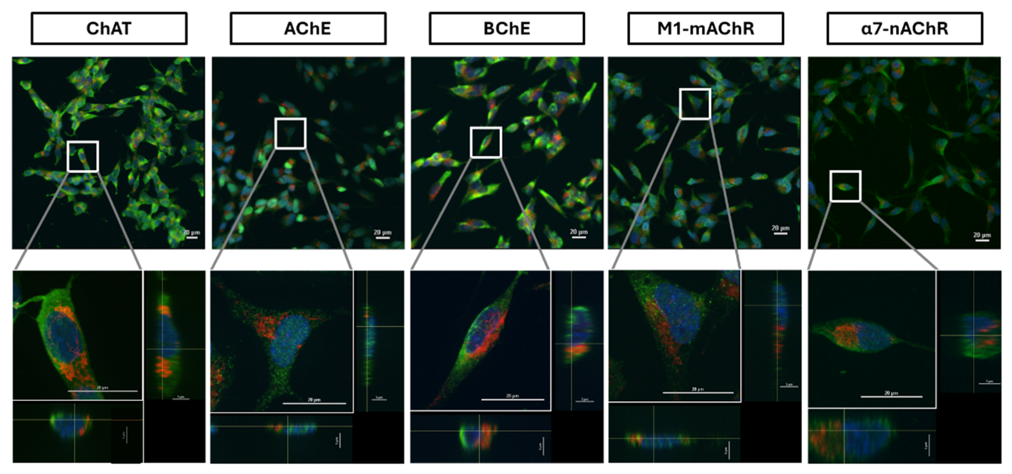 Preprints 161417 g007