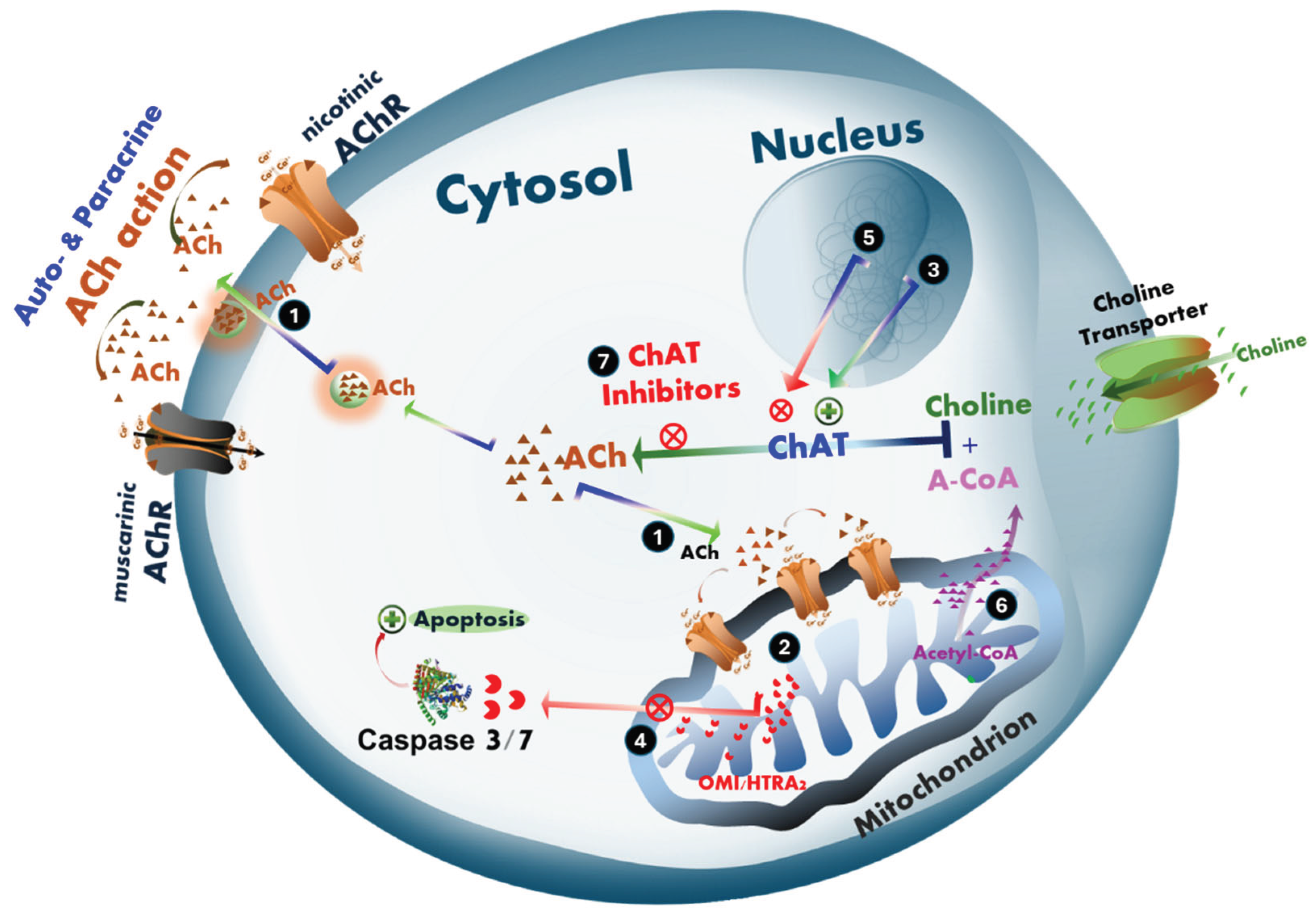 Preprints 161417 g008