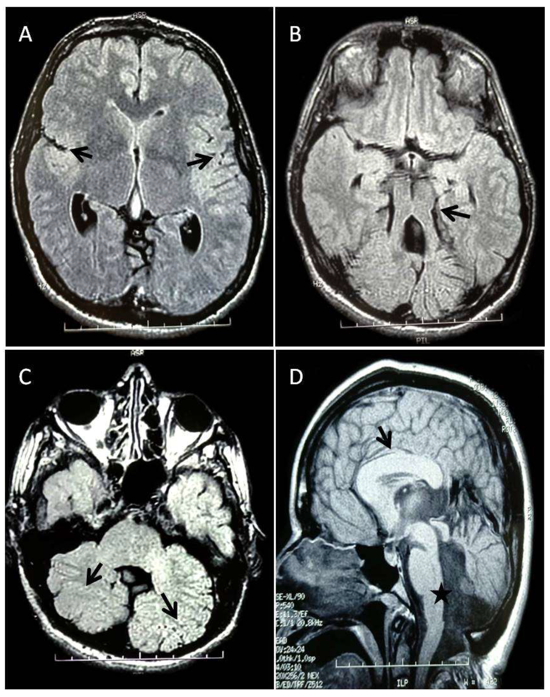Preprints 160685 g001