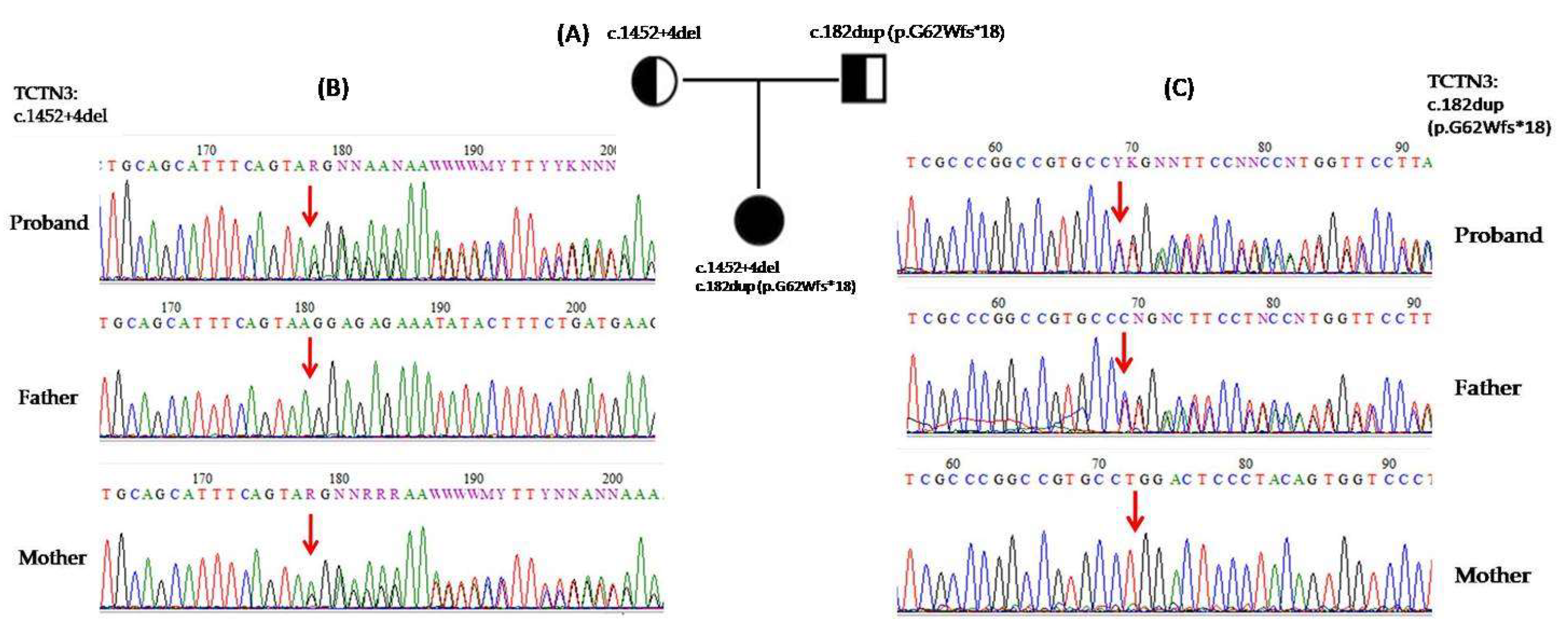 Preprints 160685 g002