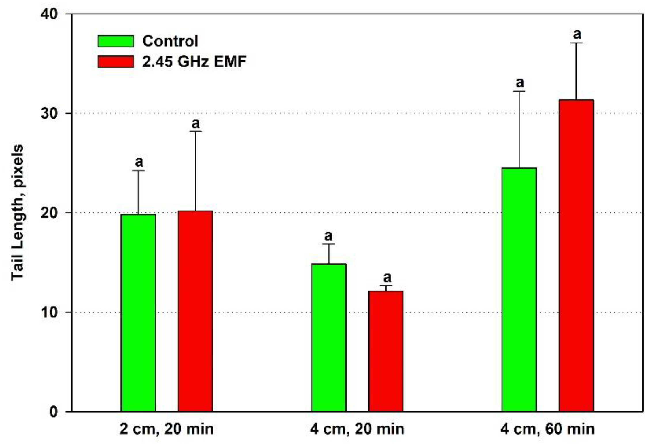 Preprints 160667 g004