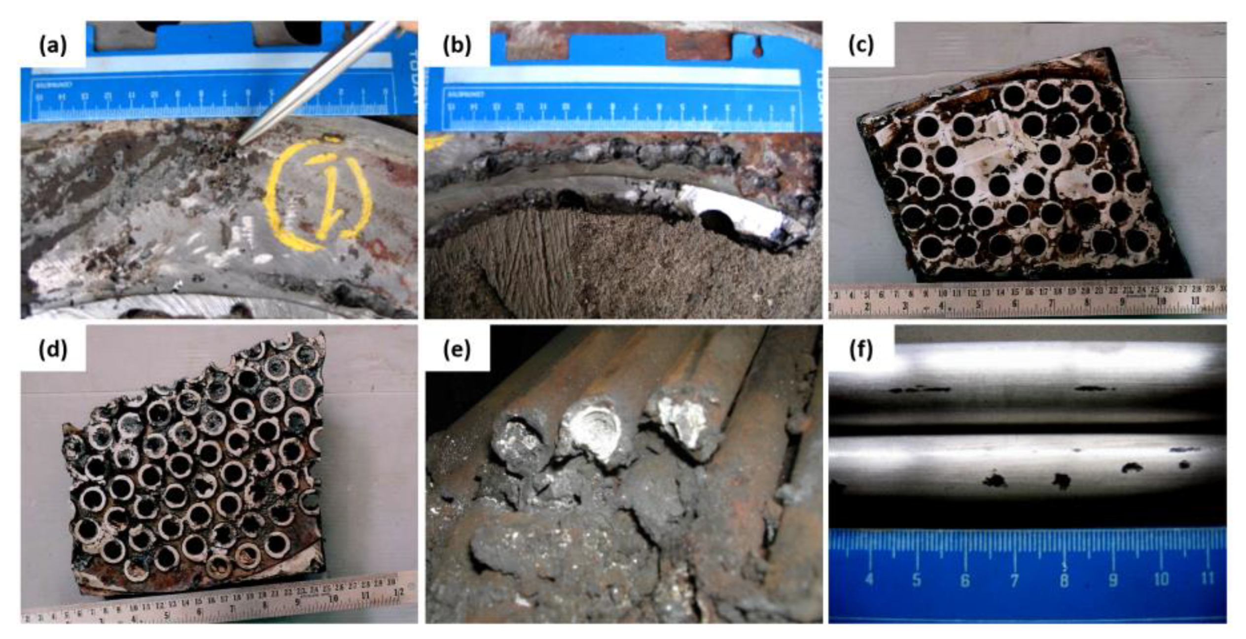 Preprints 74358 g003