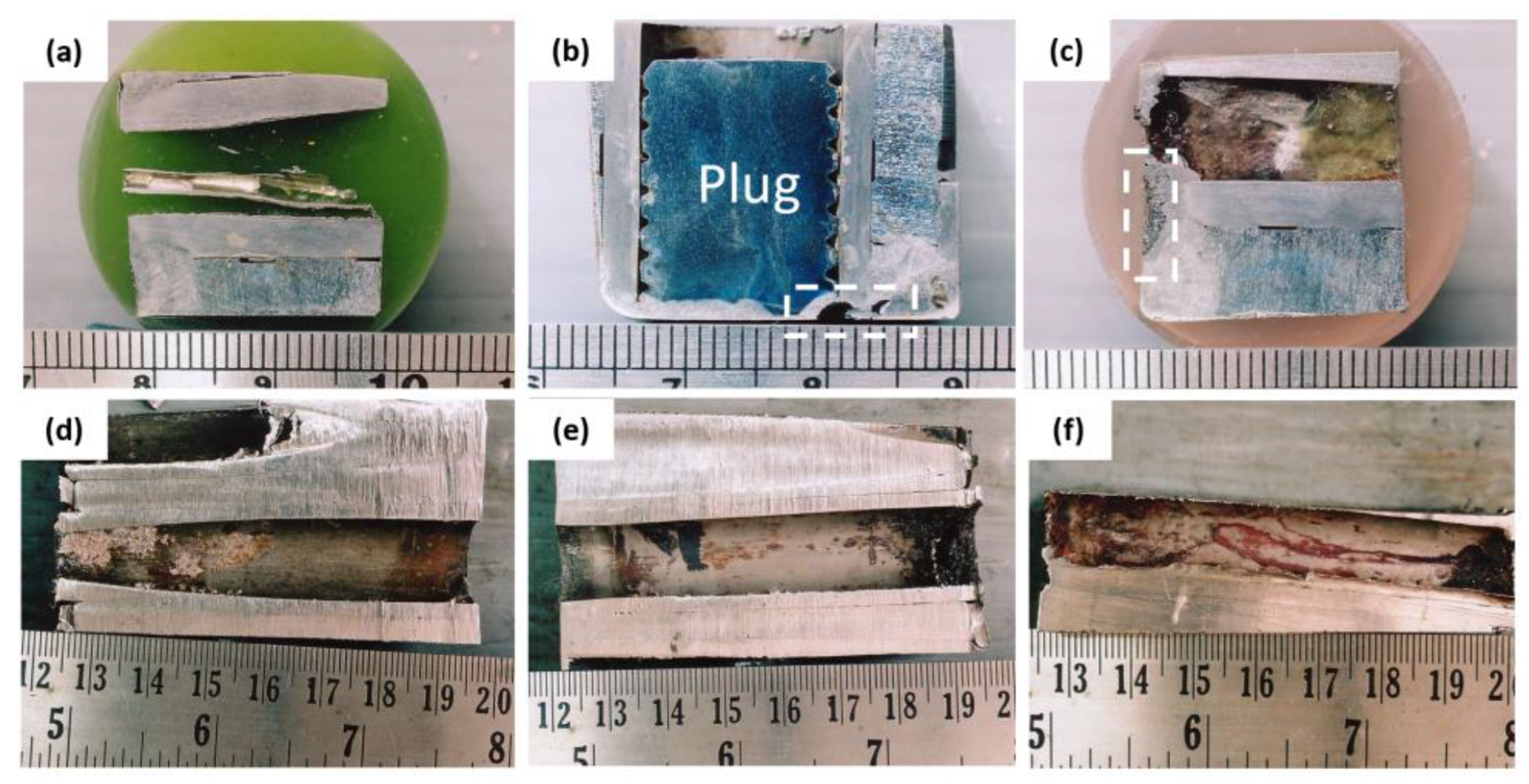 Preprints 74358 g004