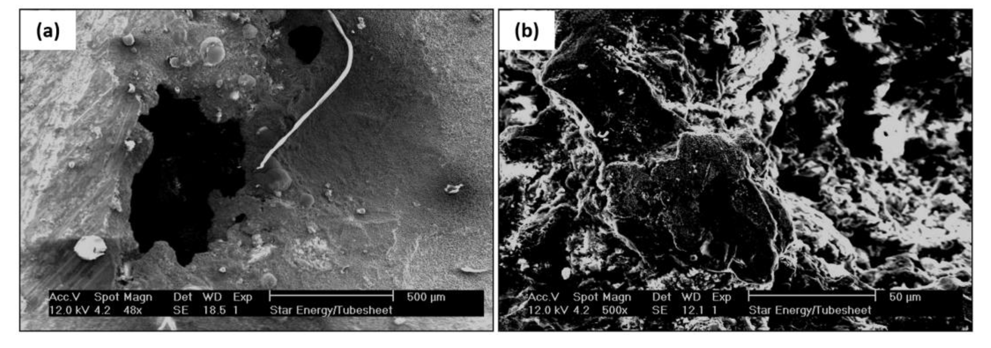 Preprints 74358 g007