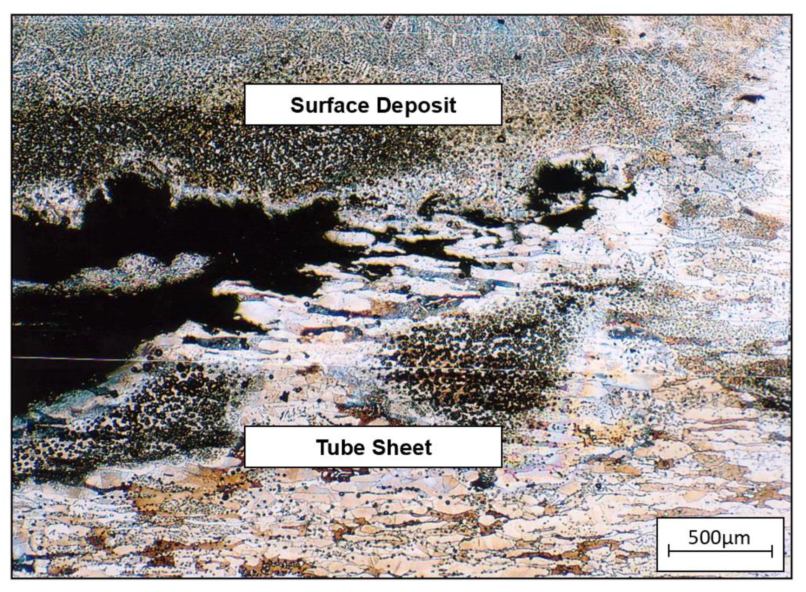 Preprints 74358 g009
