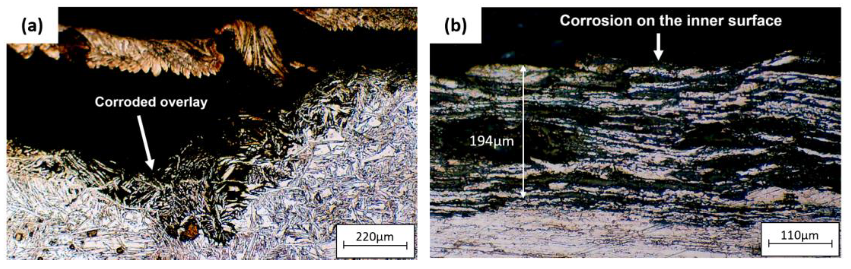 Preprints 74358 g010