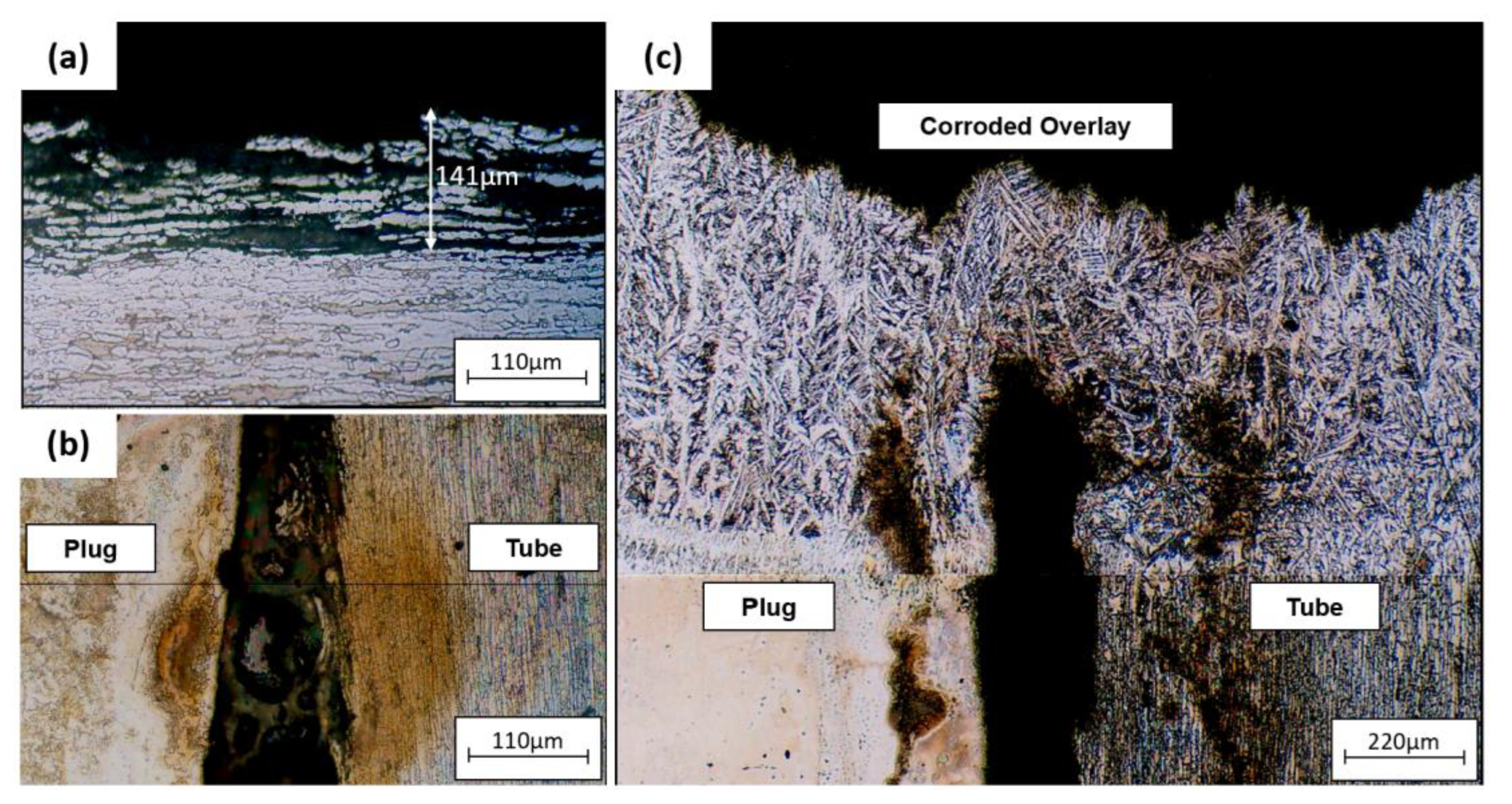 Preprints 74358 g011