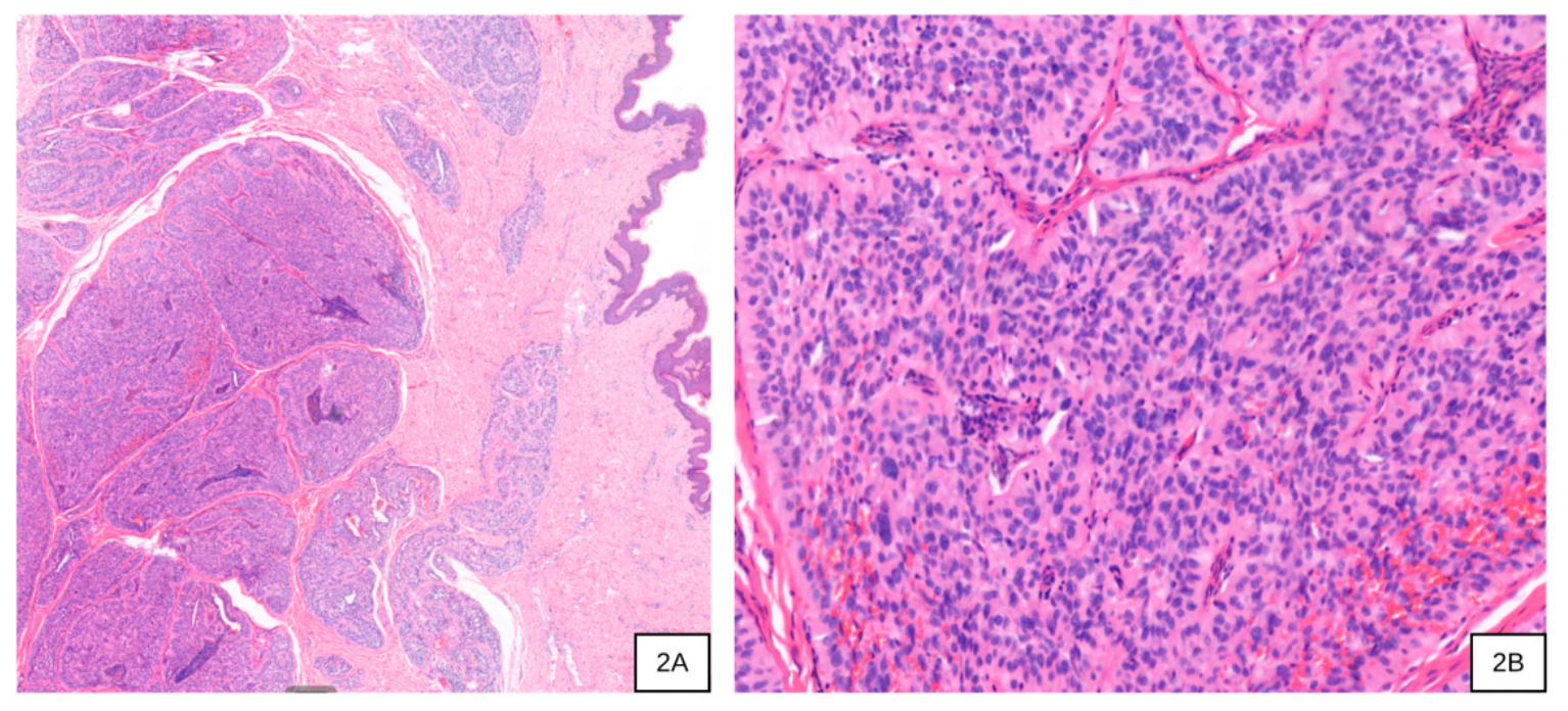 Preprints 230484 g002