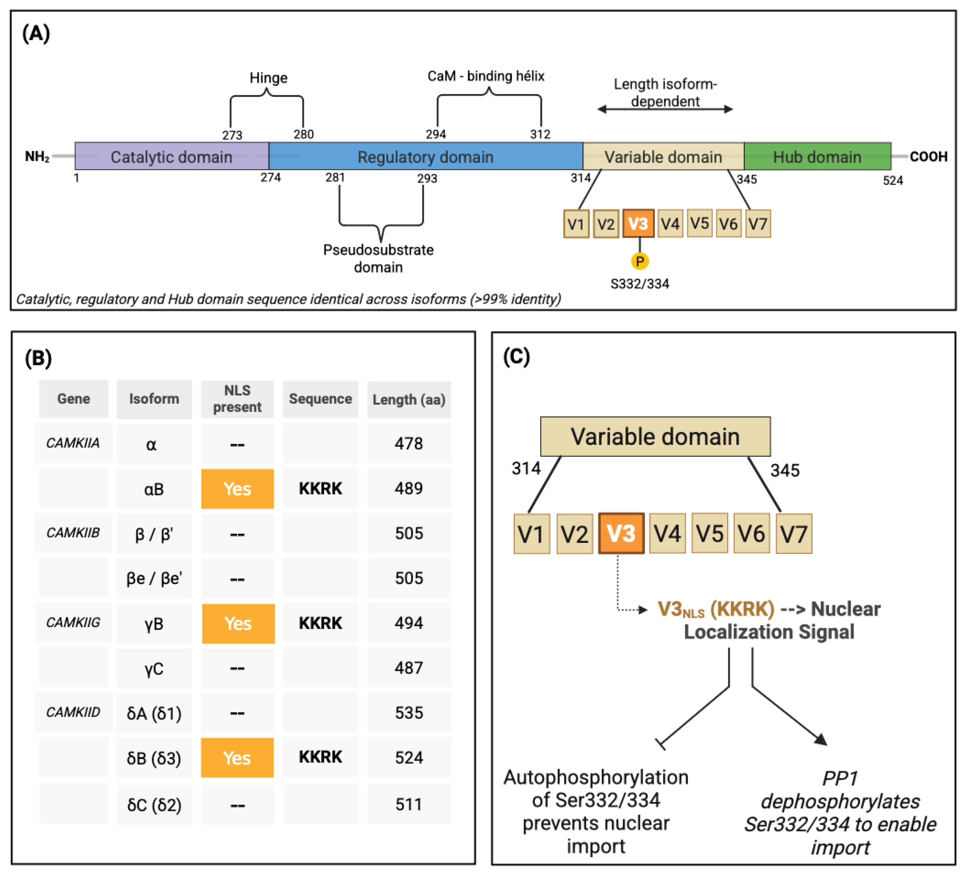 Preprints 179786 g001