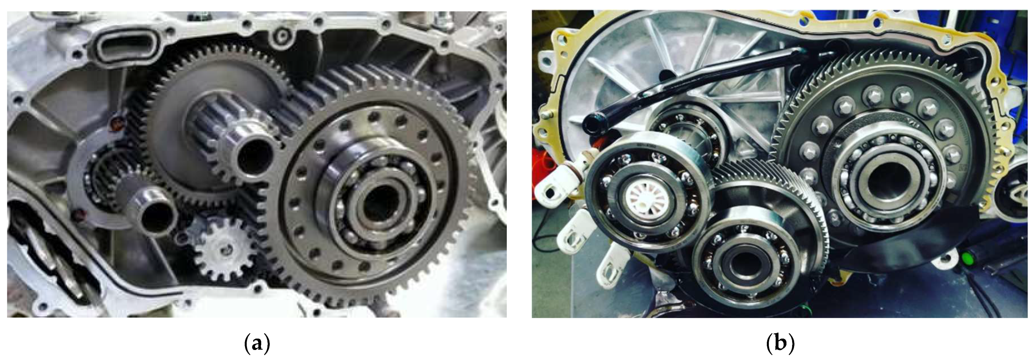 Preprints 144561 g002