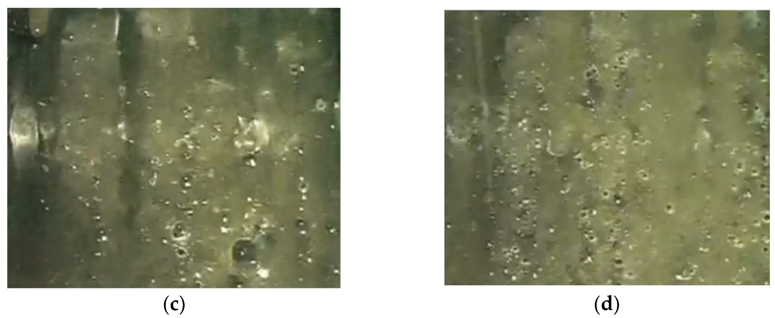 Preprints 144561 g018b