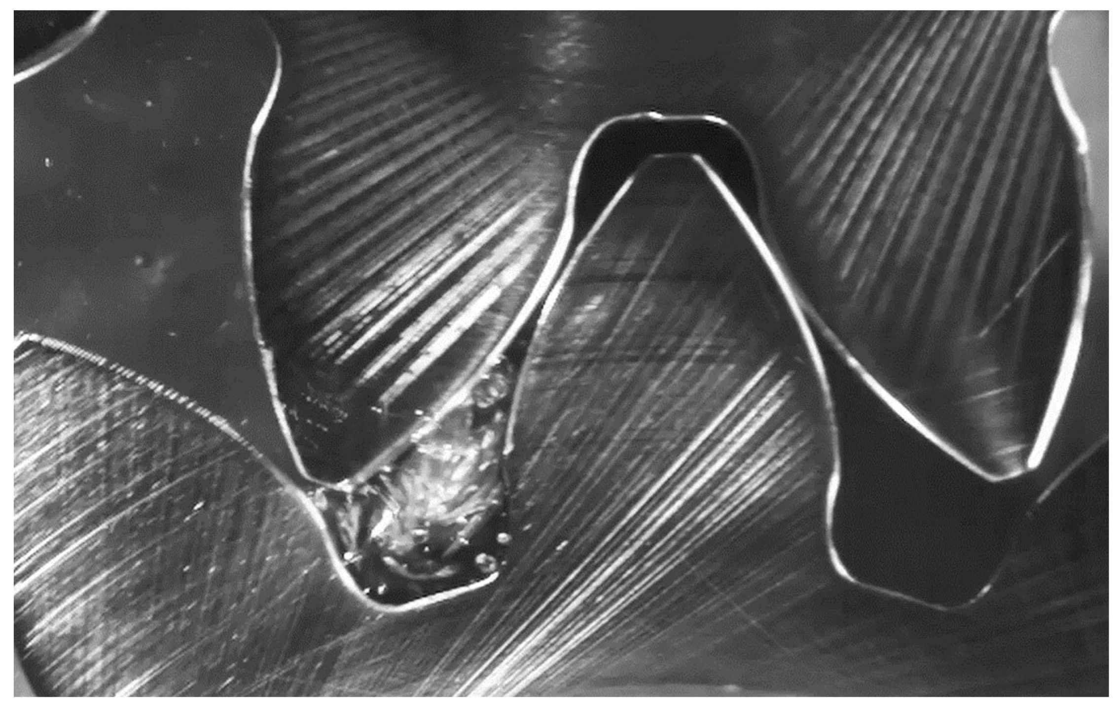 Preprints 144561 g019