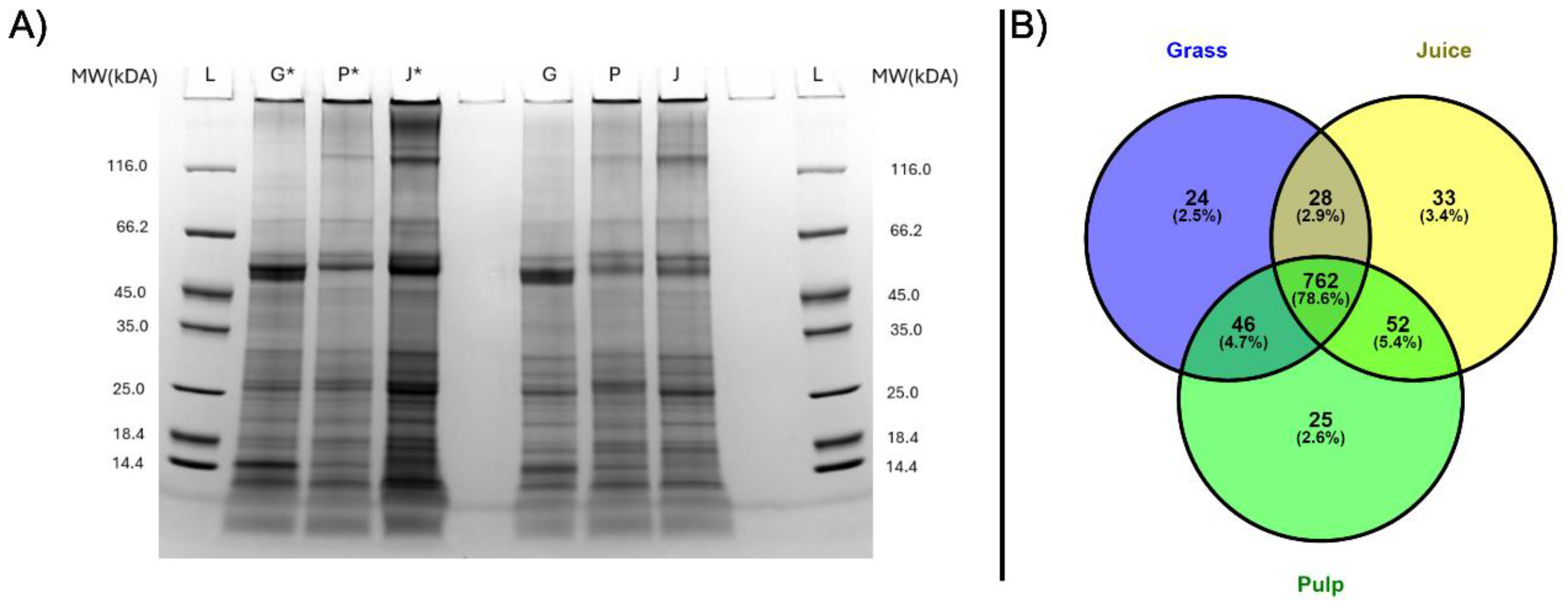 Preprints 141591 g001