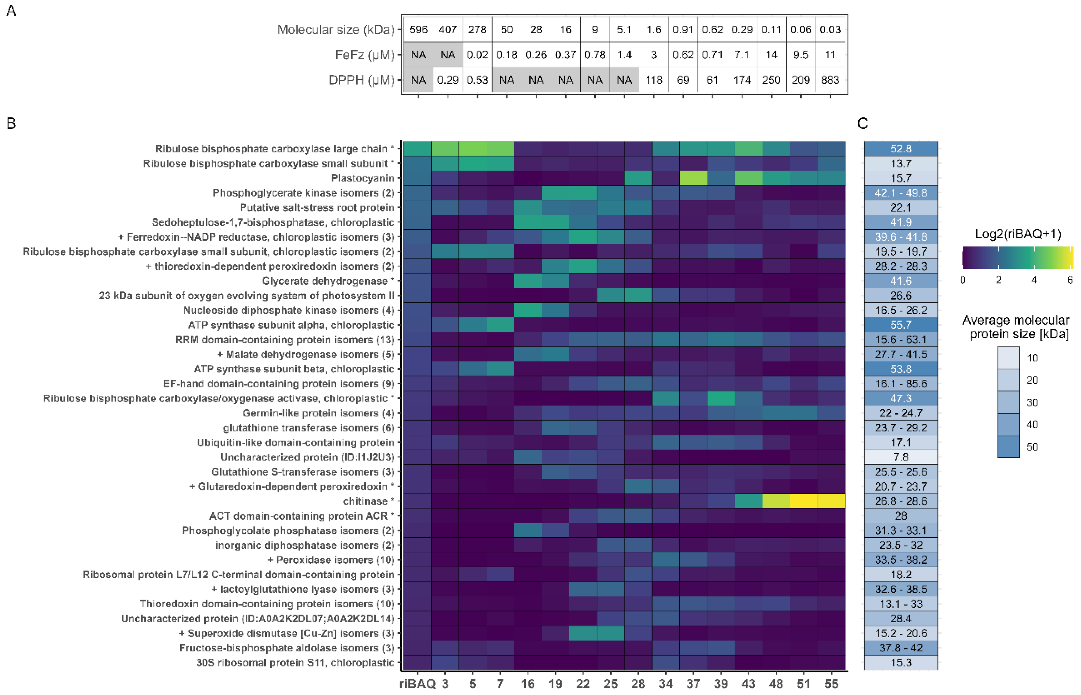 Preprints 141591 g005