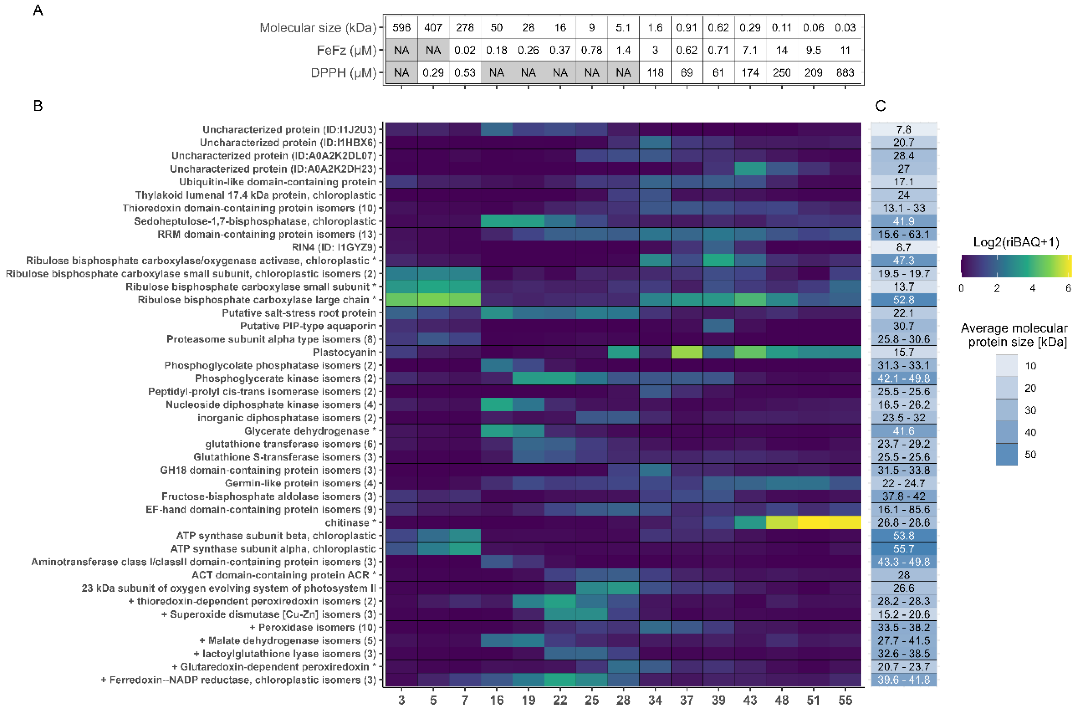 Preprints 141591 g006
