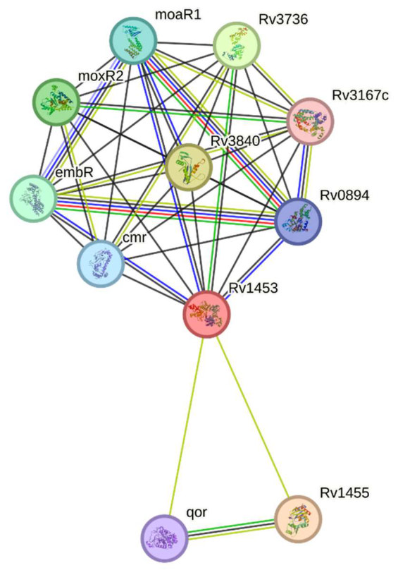 Preprints 231162 g002