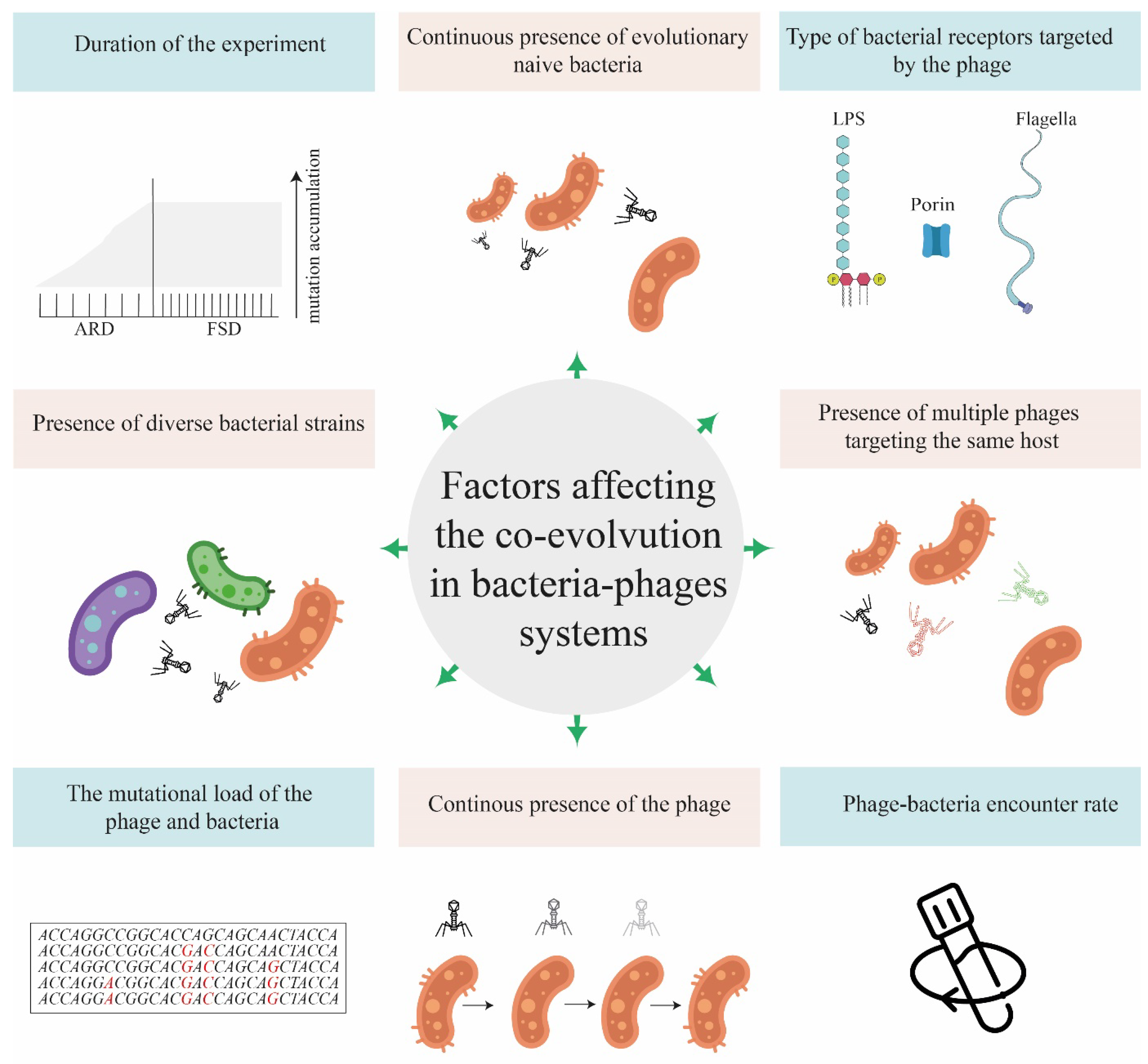 Preprints 143424 g001