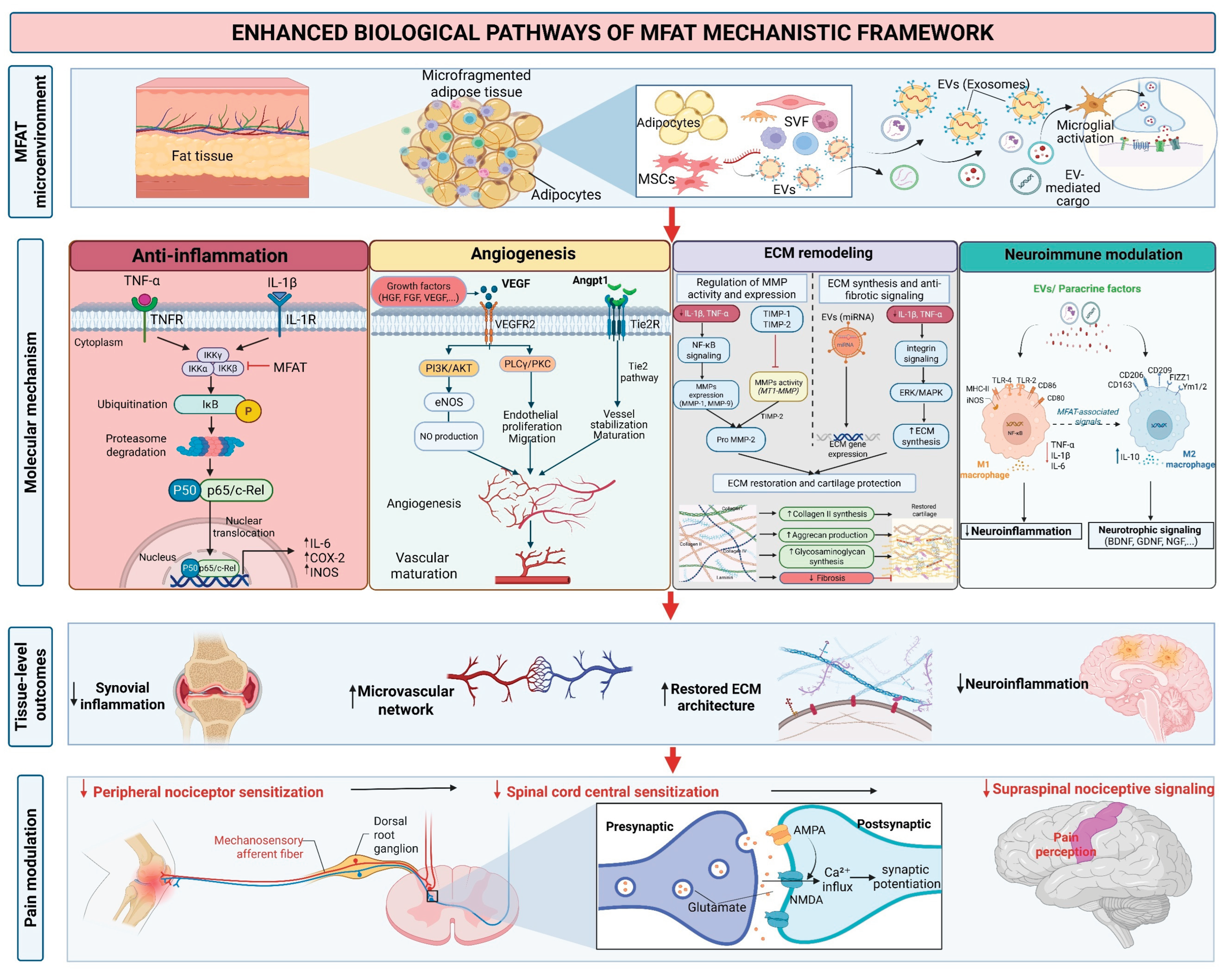 Preprints 207830 g001