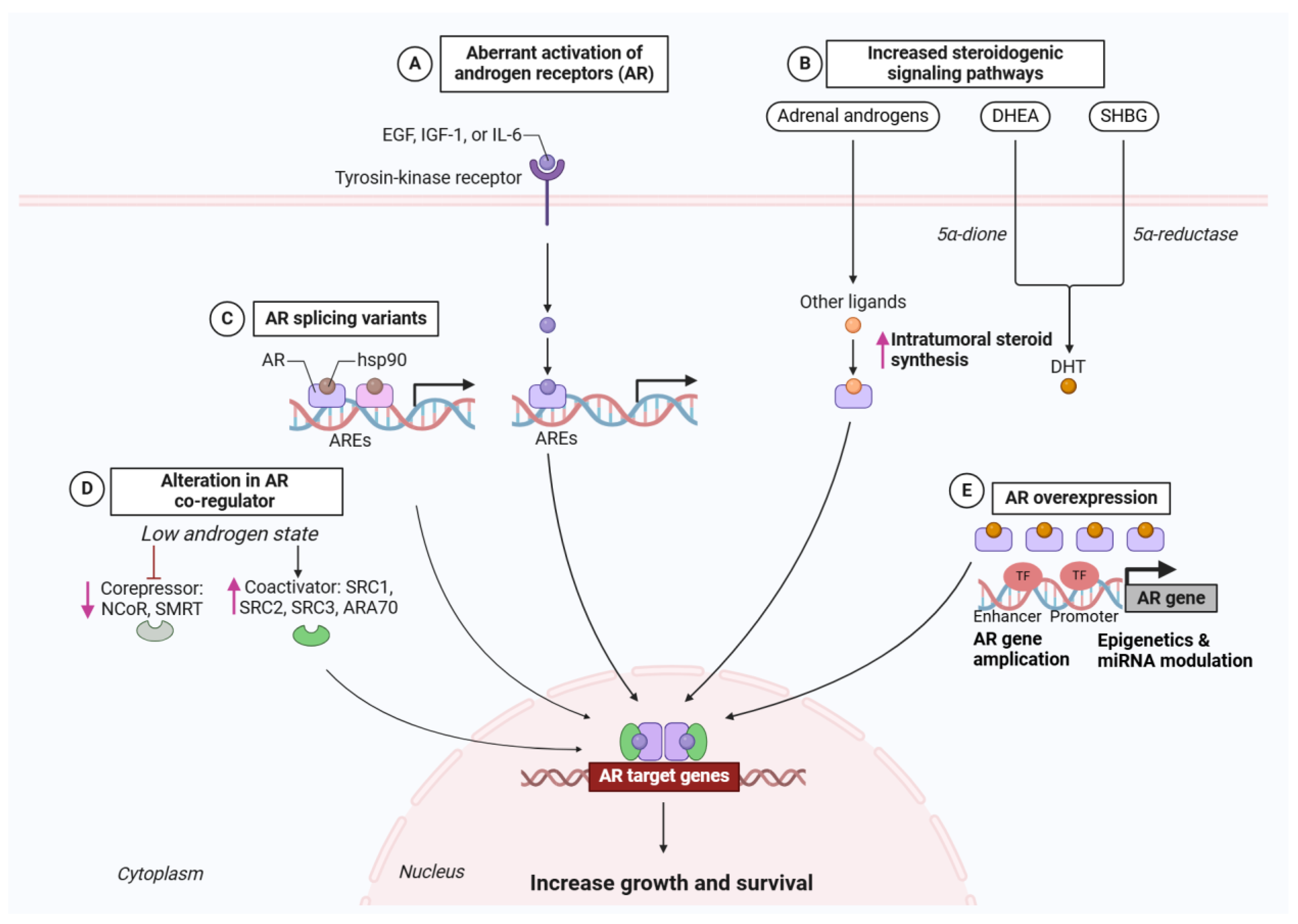 Preprints 151117 g001