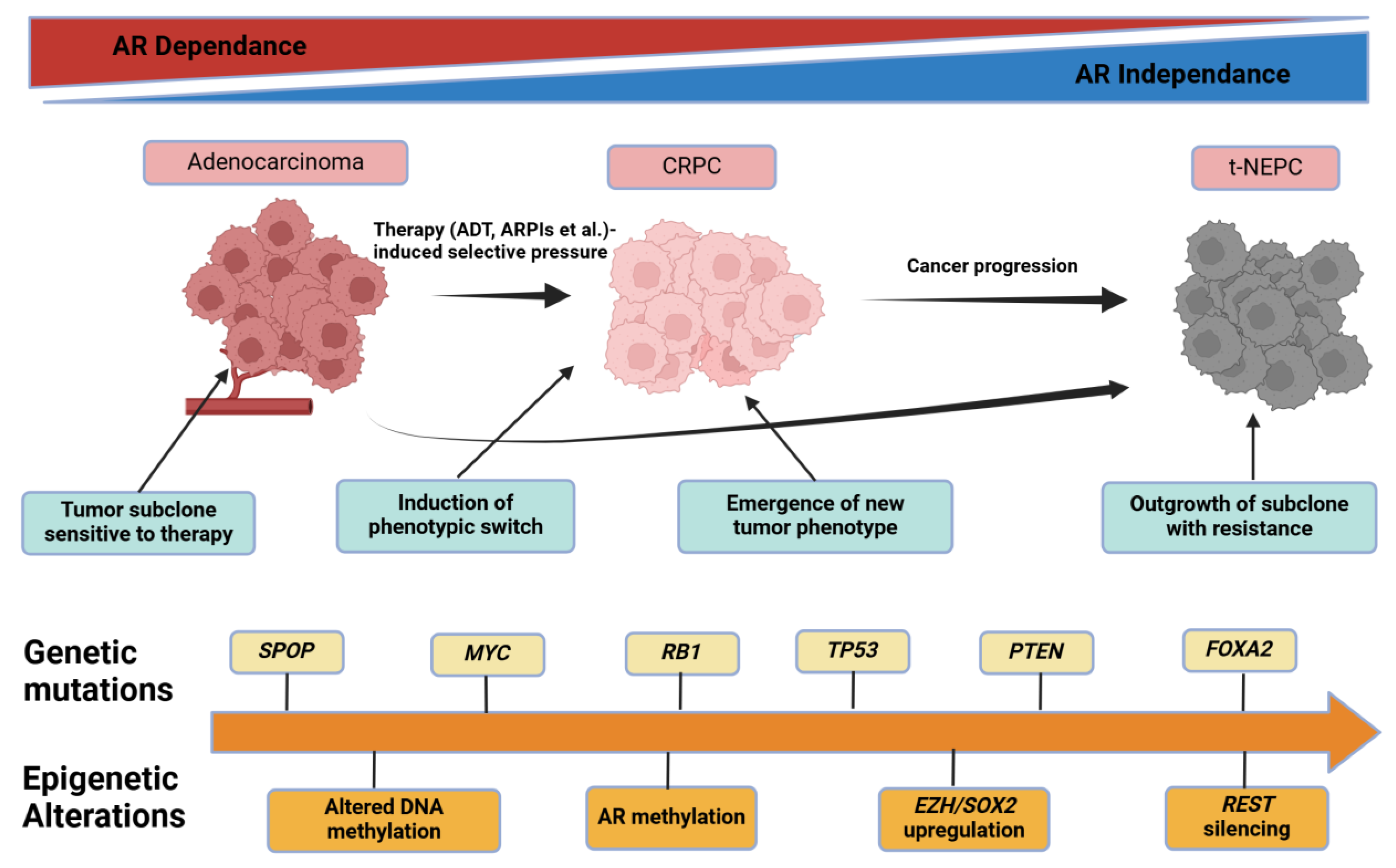 Preprints 151117 g004