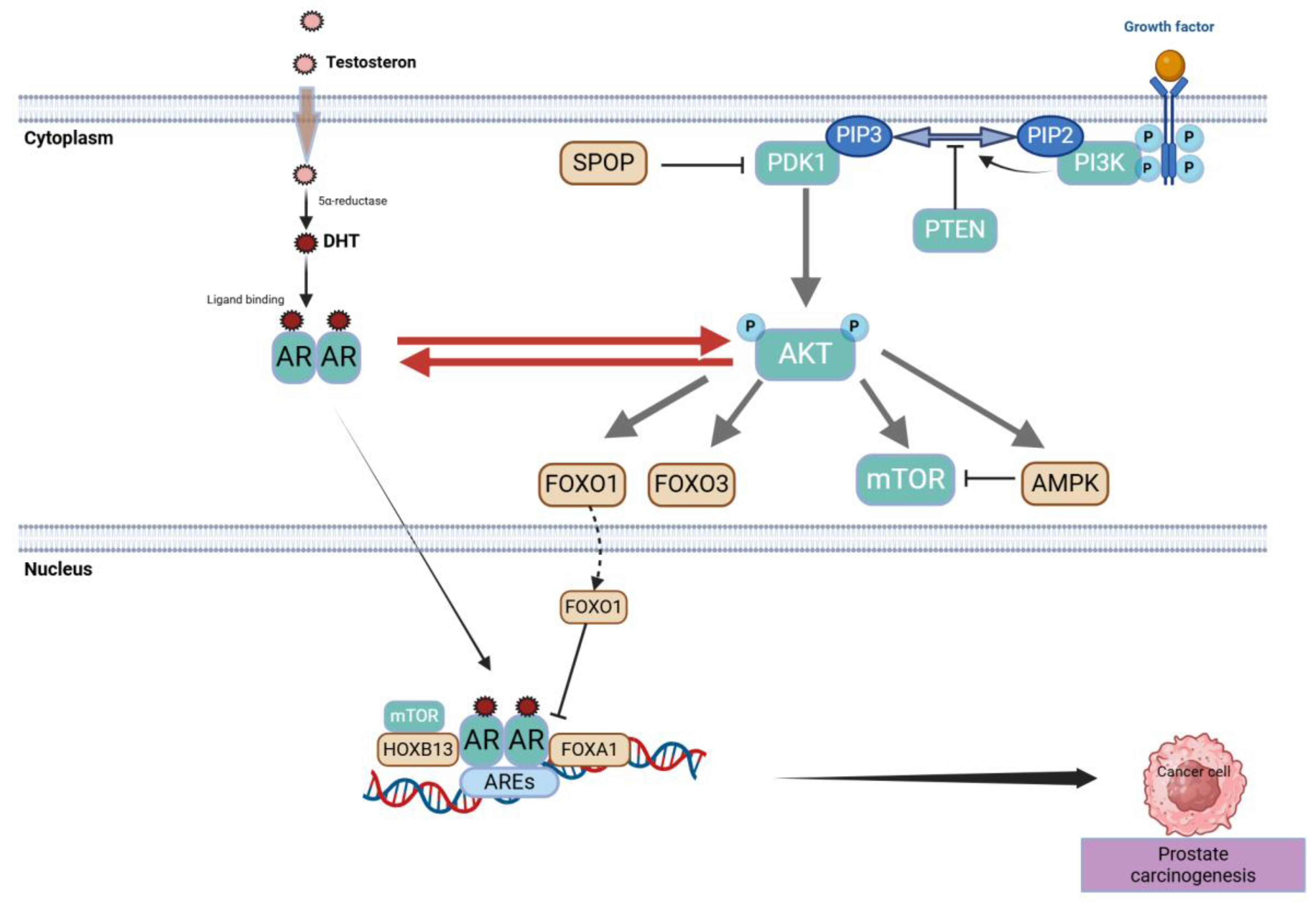 Preprints 151117 g005