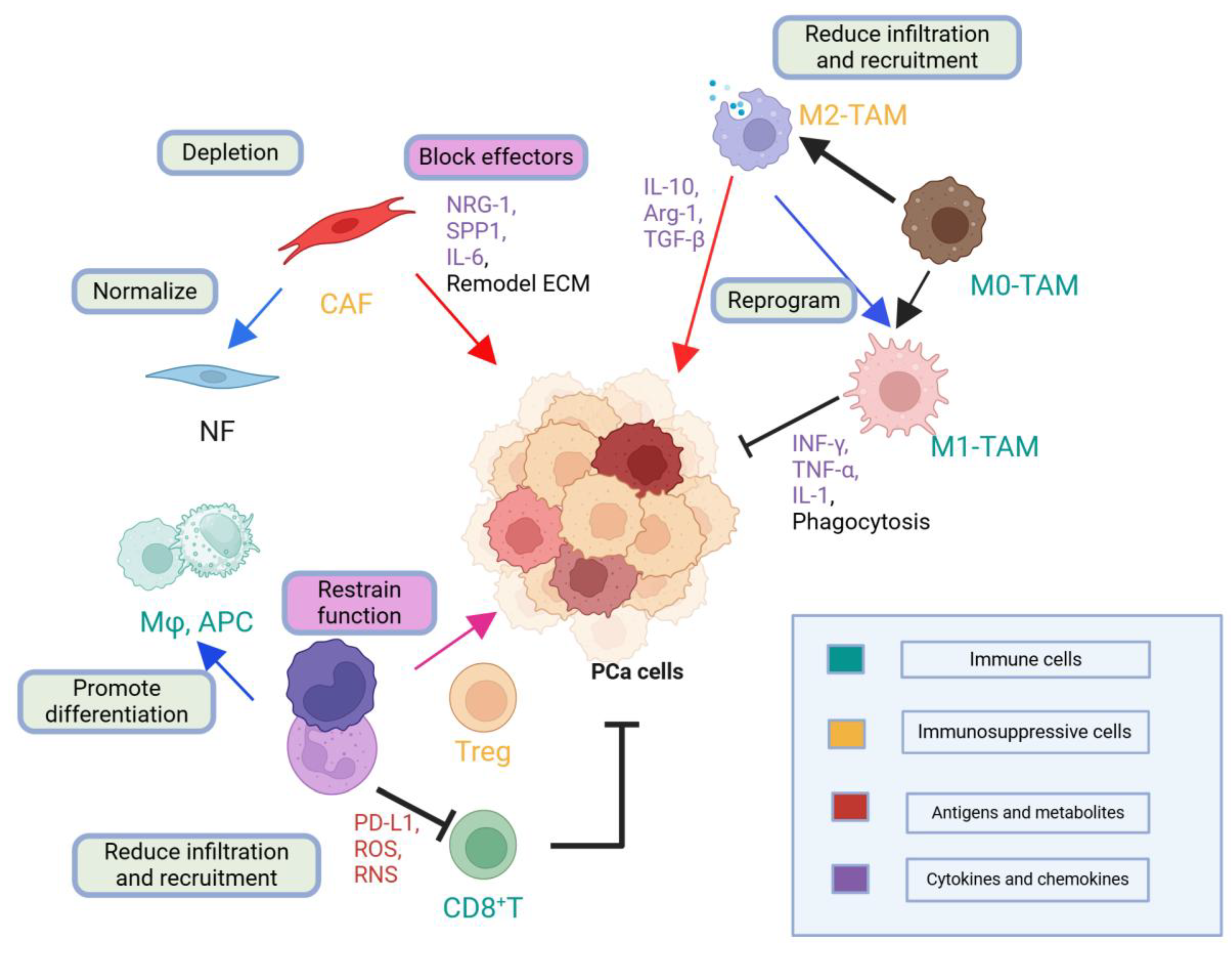 Preprints 151117 g006
