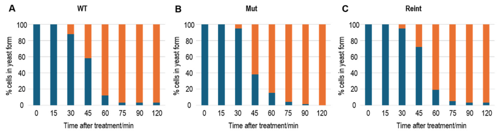 Preprints 226664 g003 Preprints 226664 g003