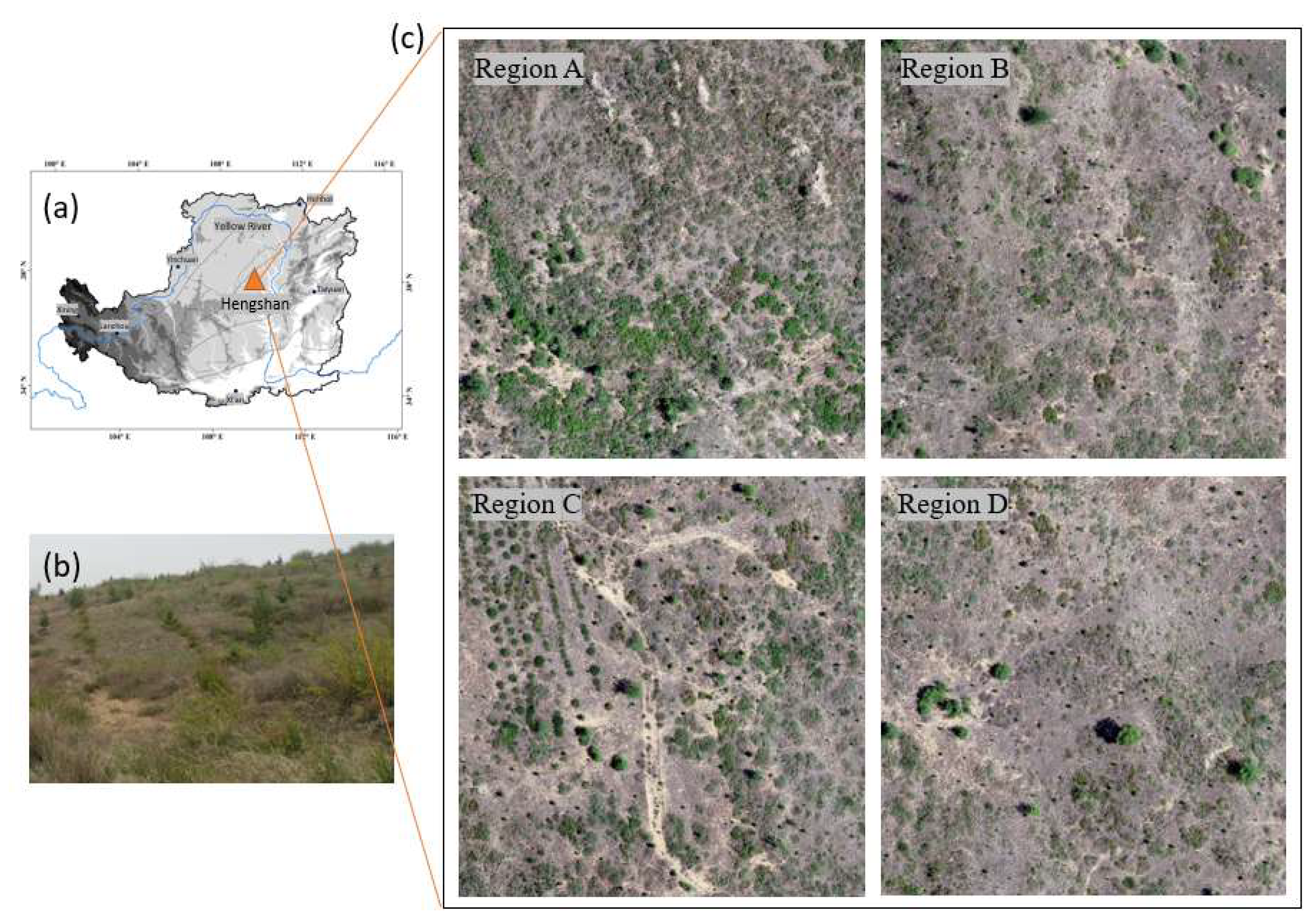 Preprints 153121 g001