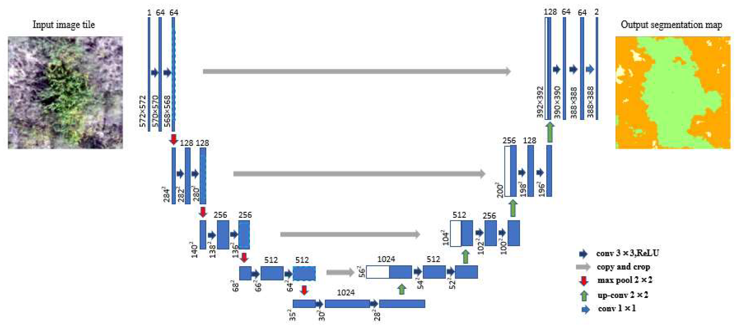 Preprints 153121 g008