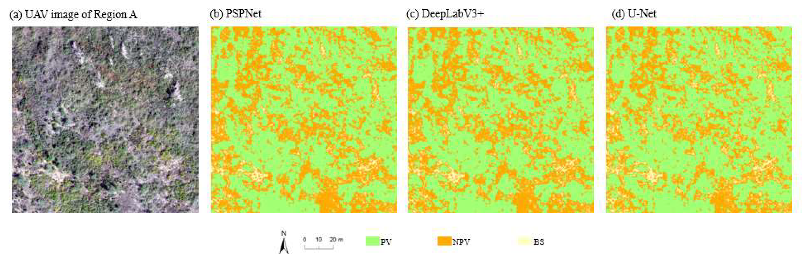 Preprints 153121 g009