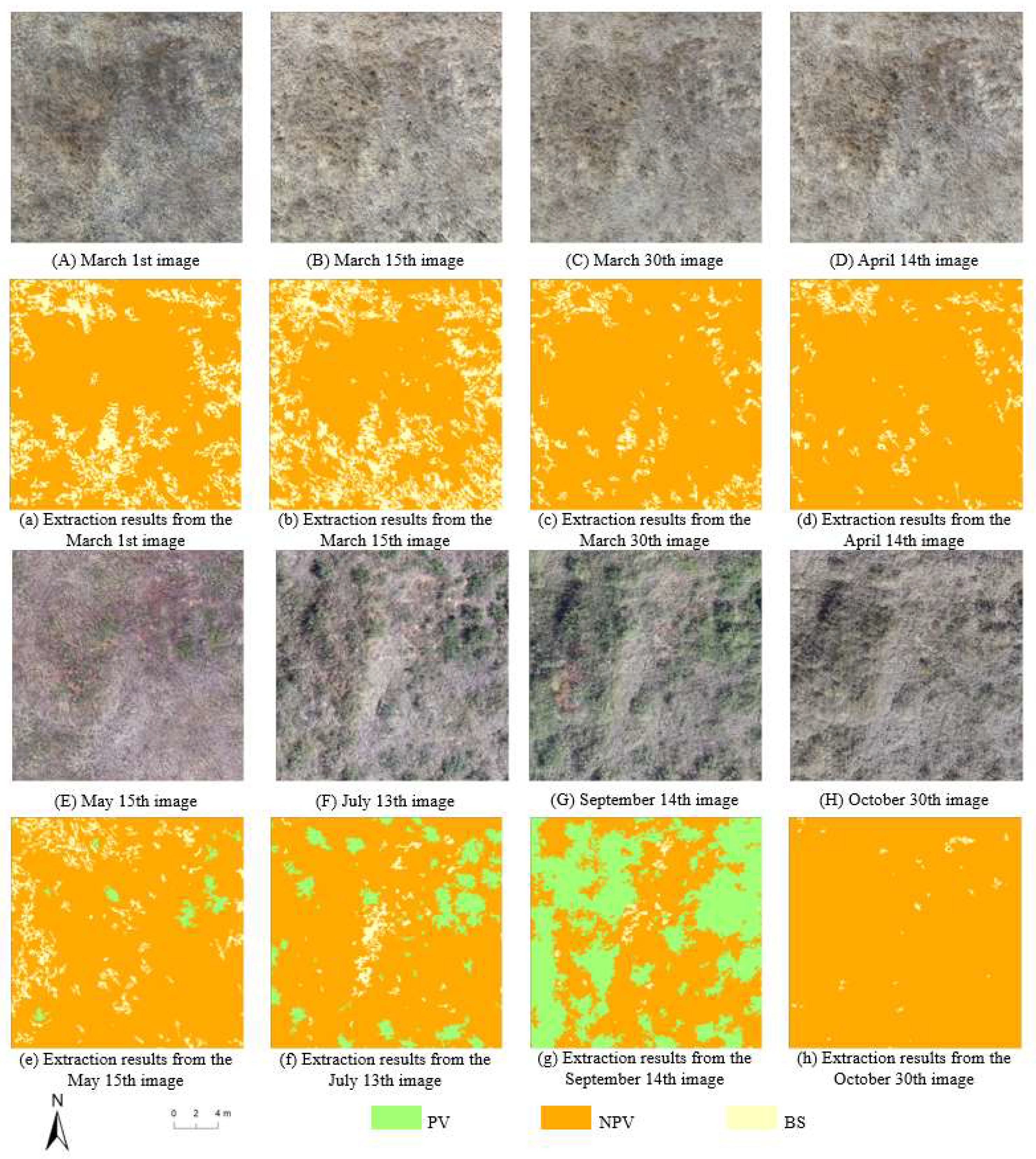 Preprints 153121 g012