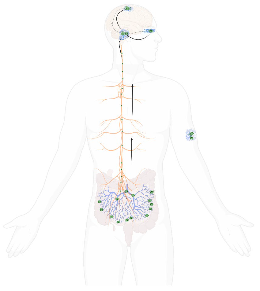Preprints 159262 g001
