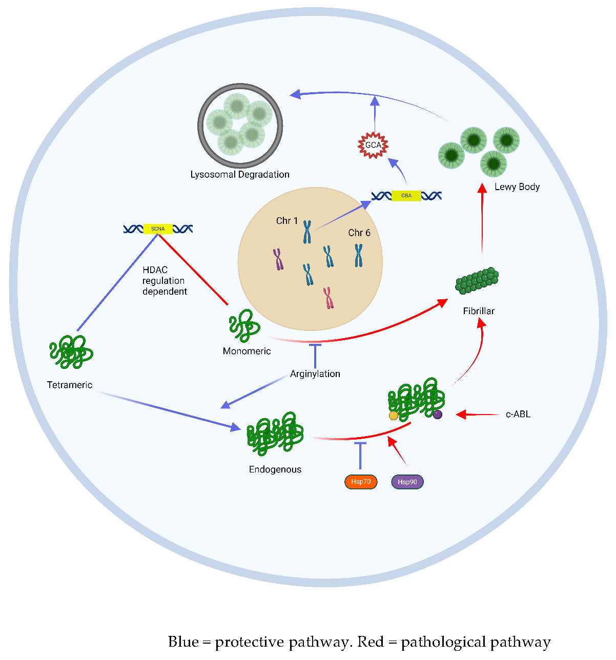 Preprints 159262 g002