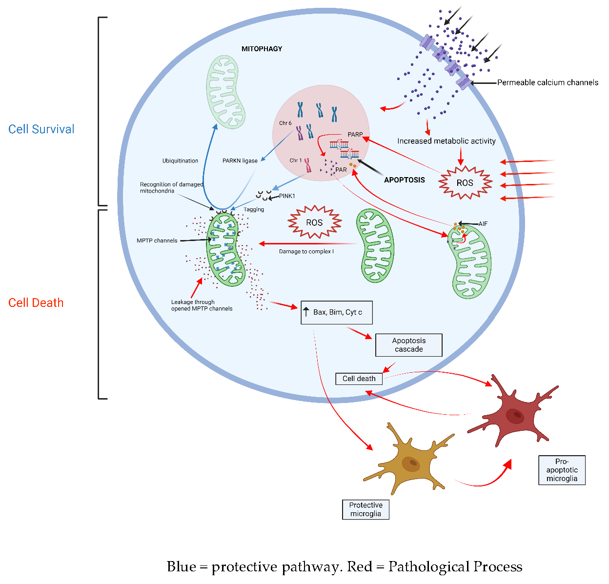 Preprints 159262 g003
